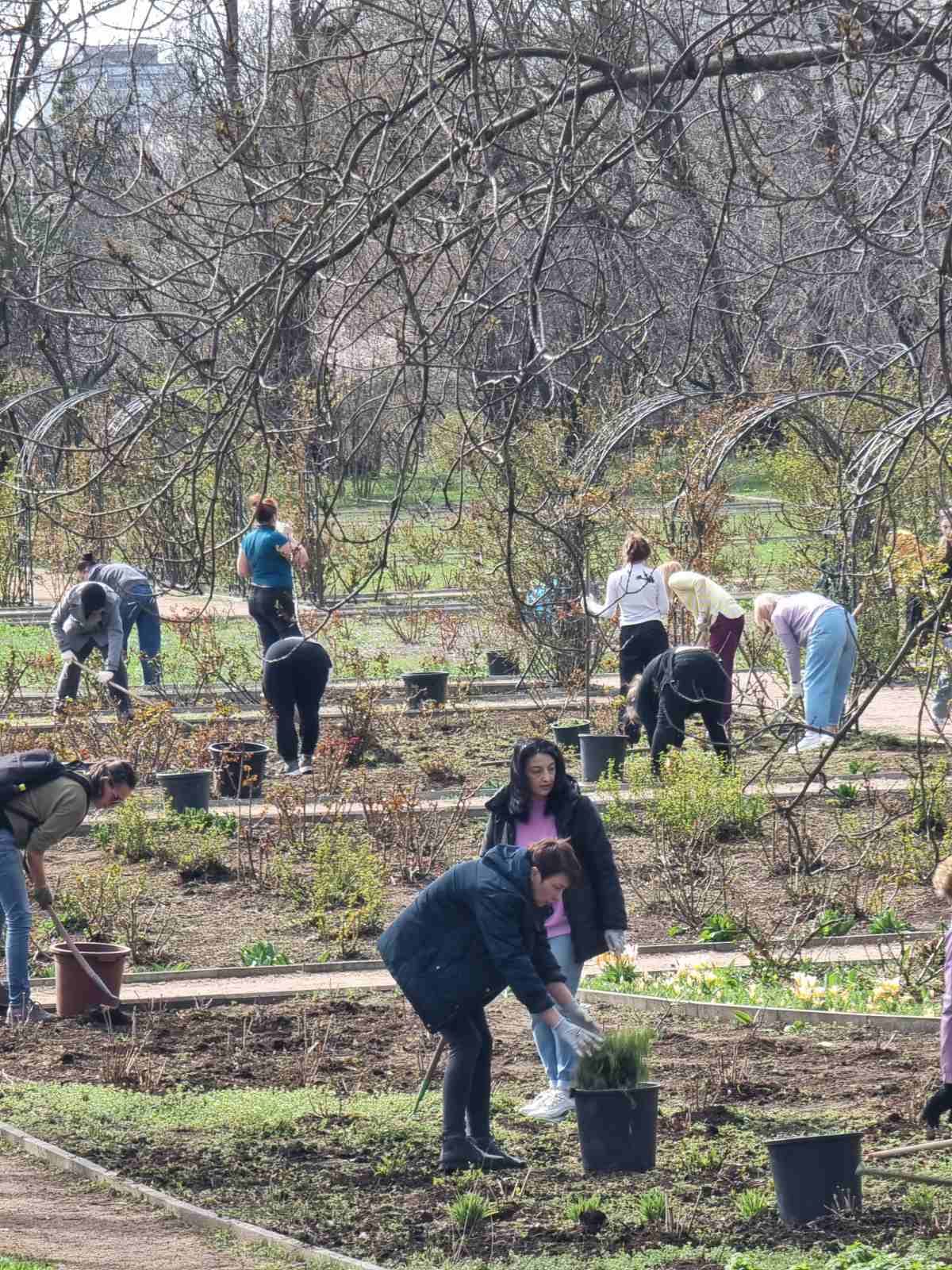 Субботник в Ботсаду.