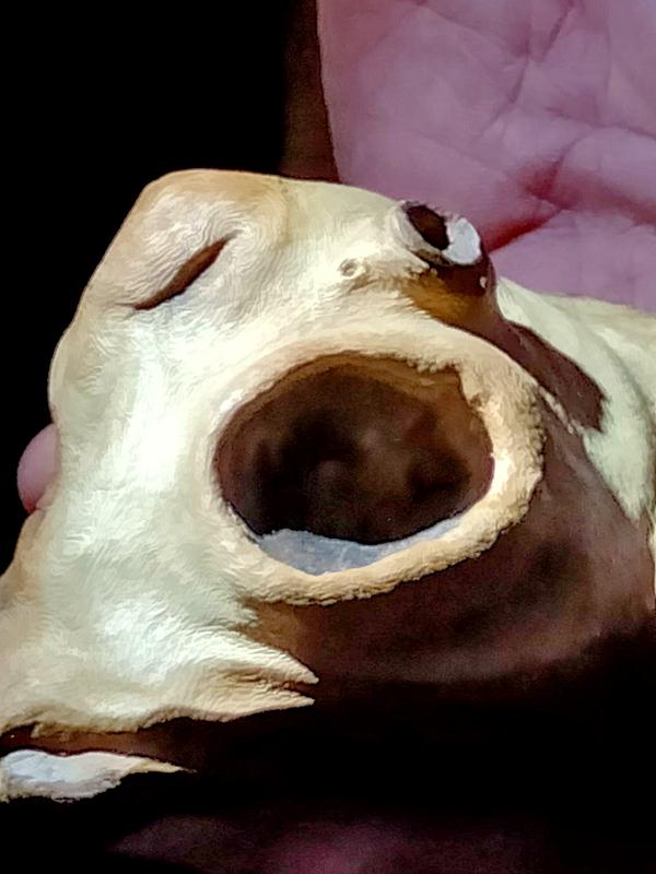 Лекция коллекционера Степана Мацюка про особенное искусство.