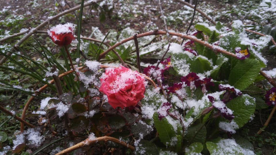 Измаил. Фото: Игорь Коц