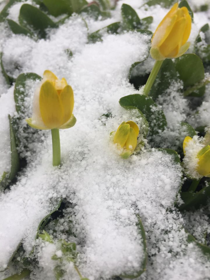 Фото: Алена Митрофанова