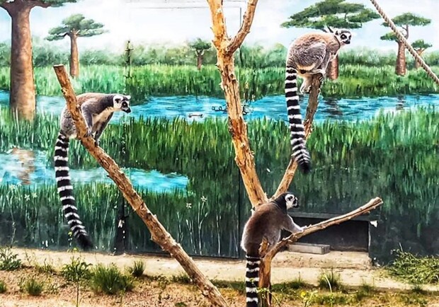 Фото одесского биопарка