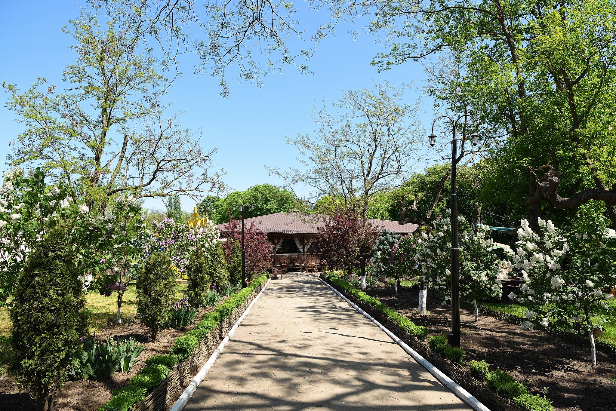 Какие летние площадки работают после послабления карантина в Одессе. Фото: Хижина