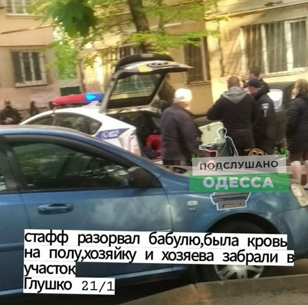 На Таирова собака покусала пожилую женщину. Фото: Подслушано Одесса