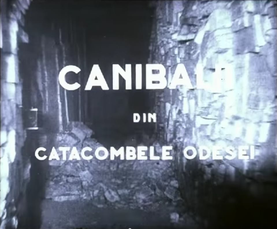 Фото со страницы Александра Бабича