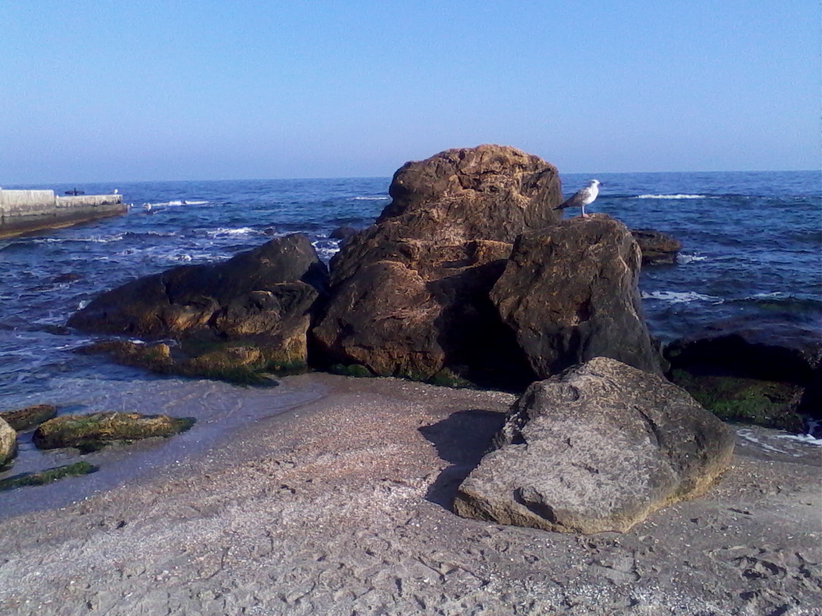 Пляж "Пограничников". Фото: Константин Стороженко