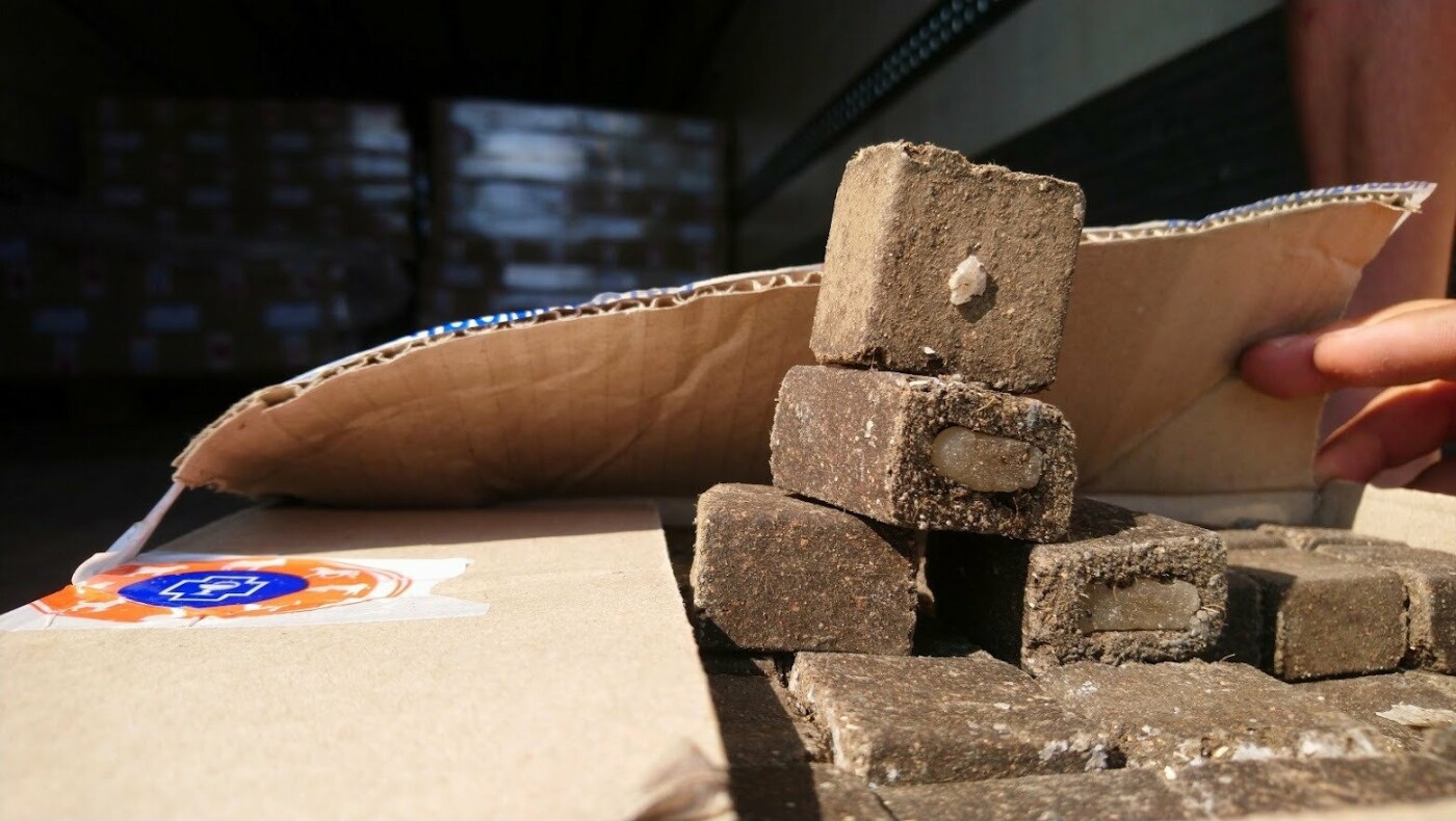 Разбросают вакцину: над Одесской областью снова будут летать самолеты. Фото: пресс-служба Главного управления Госпродпотребслужбы в Одесской области