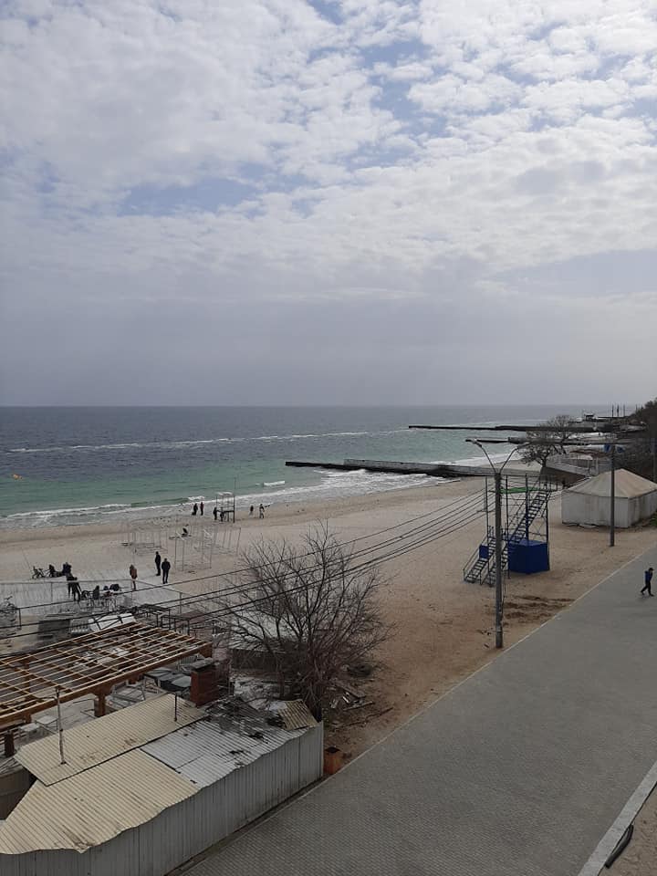 Фото: Ольга Кочергина