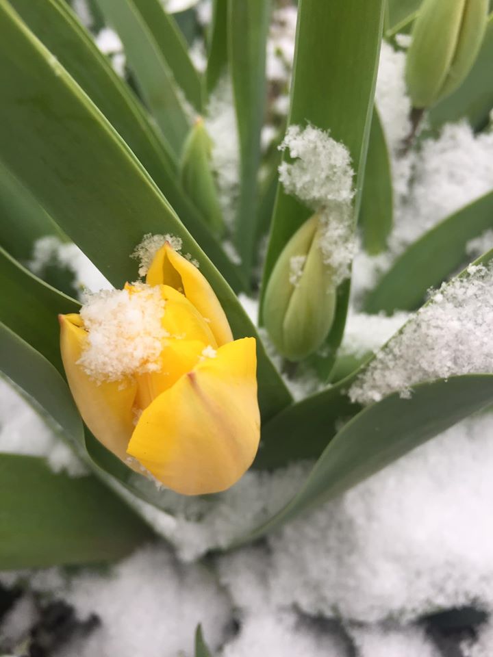 Фото: Алена Митрофанова