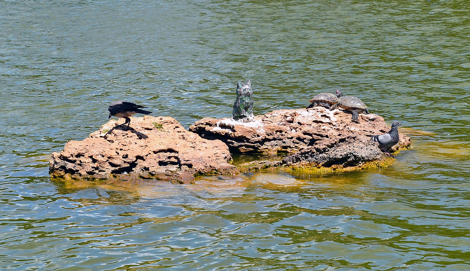 Витражик. Фото: Mara Luchistaya