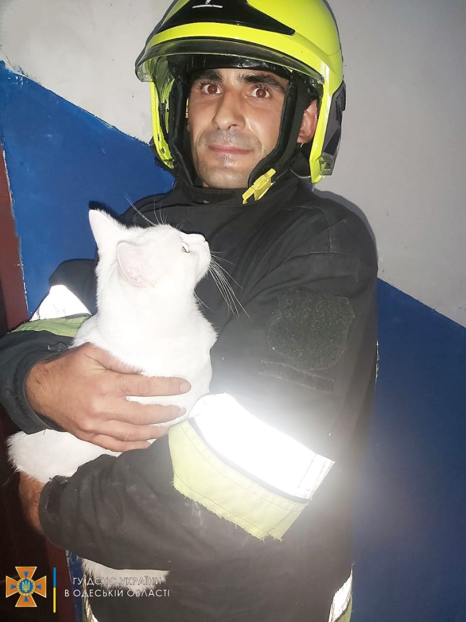 Как прошли сутки у одесских спасателей.