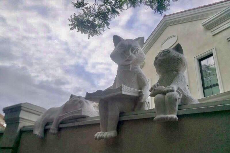 "Читающие коты" Фото: Наталья Ситаль