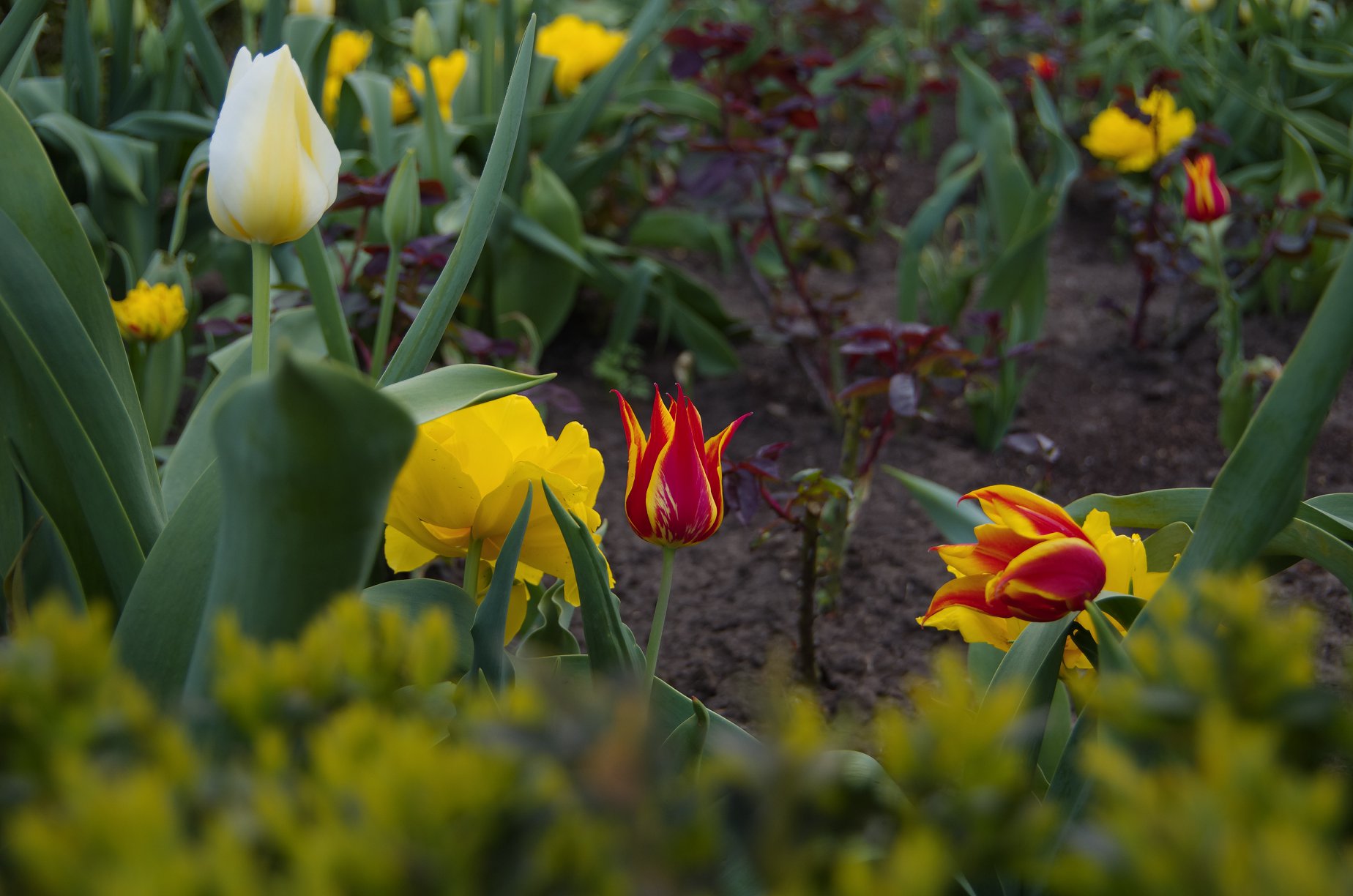 Весна на 16-й станции. Фото Лолиты Клочковой