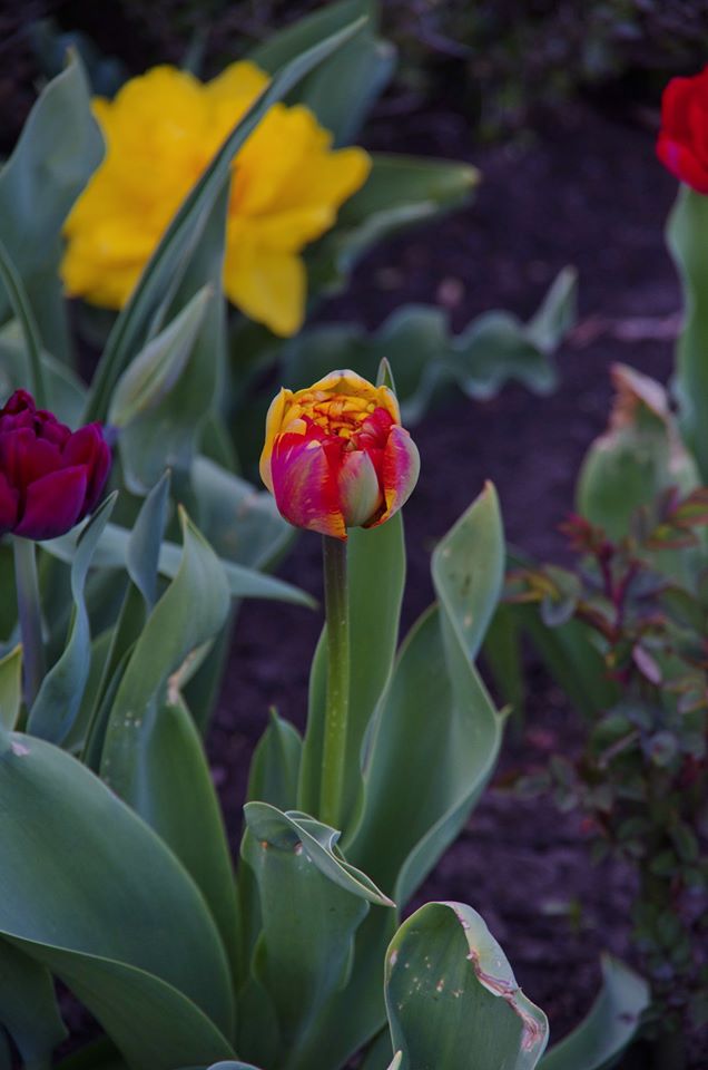 Весна на 16-й станции. Фото Лолиты Клочковой