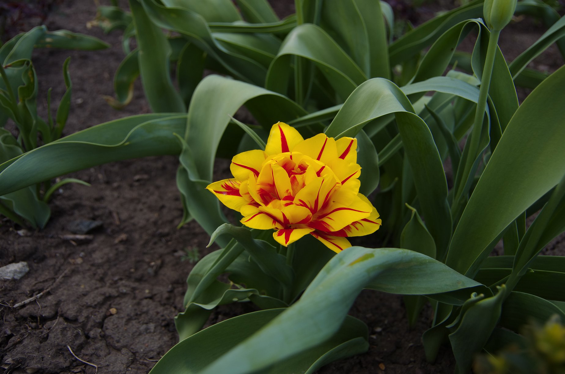 Весна на 16-й станции. Фото Лолиты Клочковой