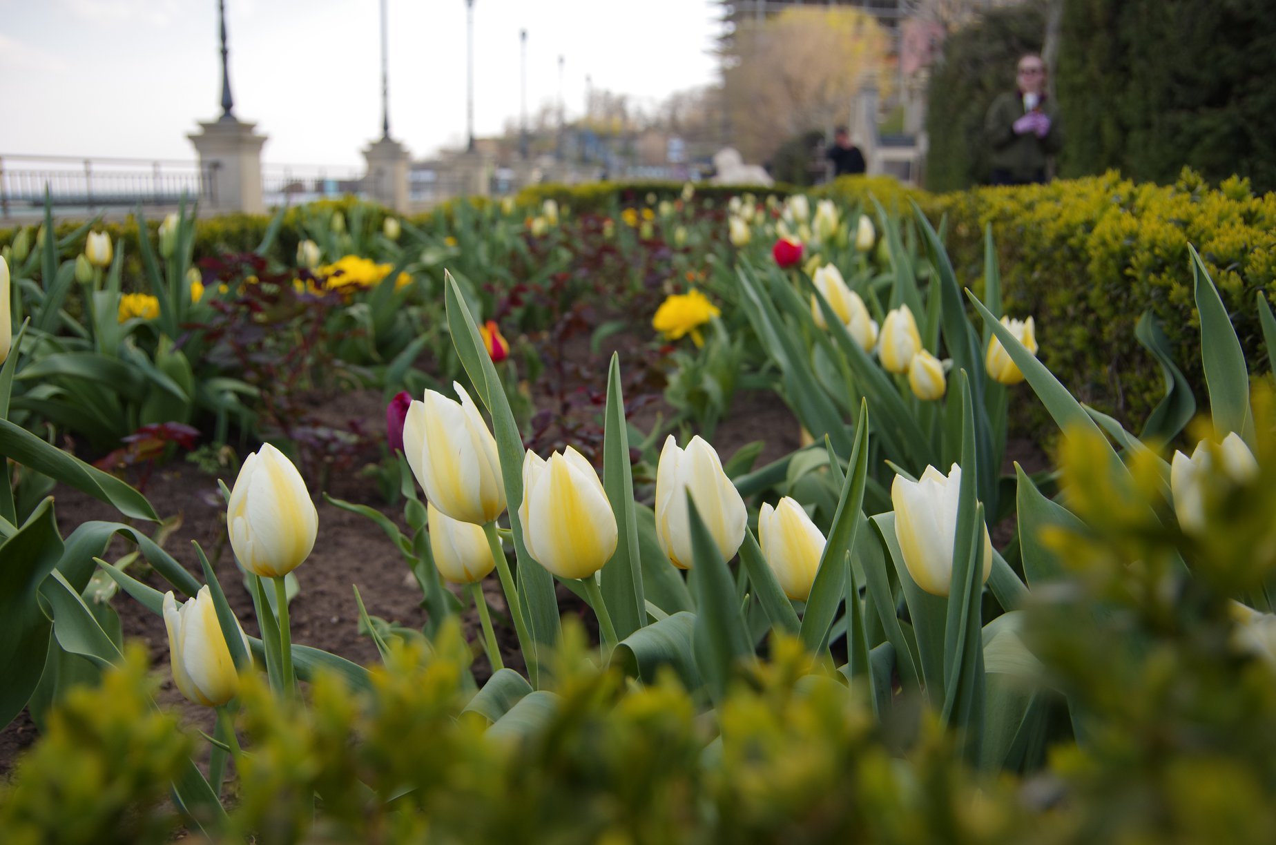 Весна на 16-й станции. Фото Лолиты Клочковой