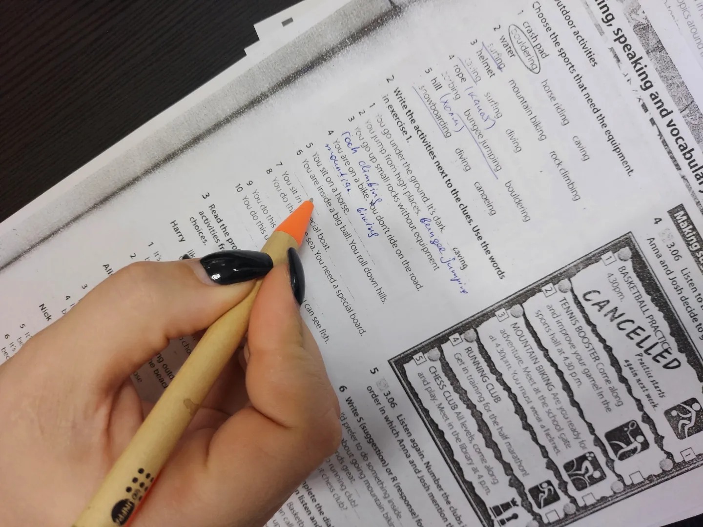 Norma Vita, Public organization.