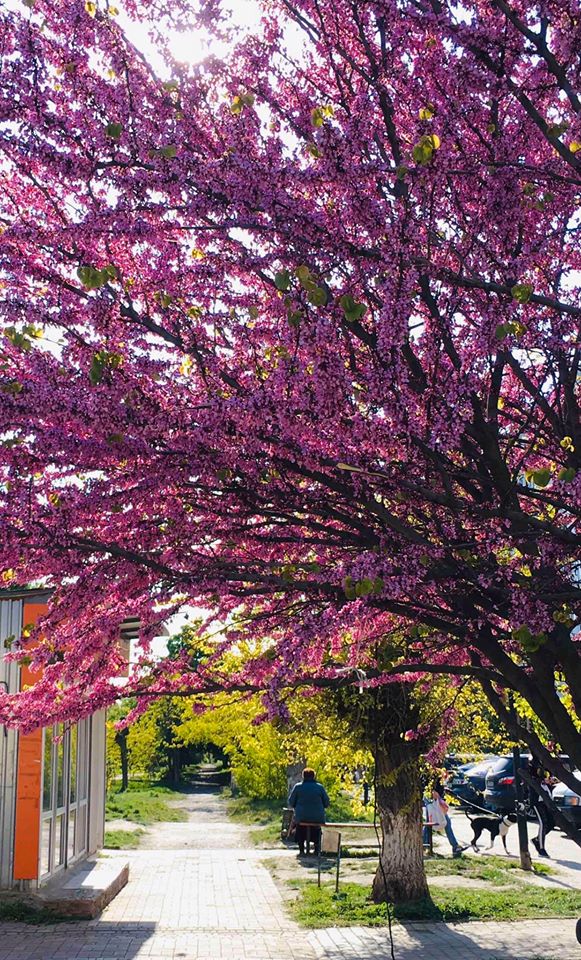 Фото: Лолита Клочкова