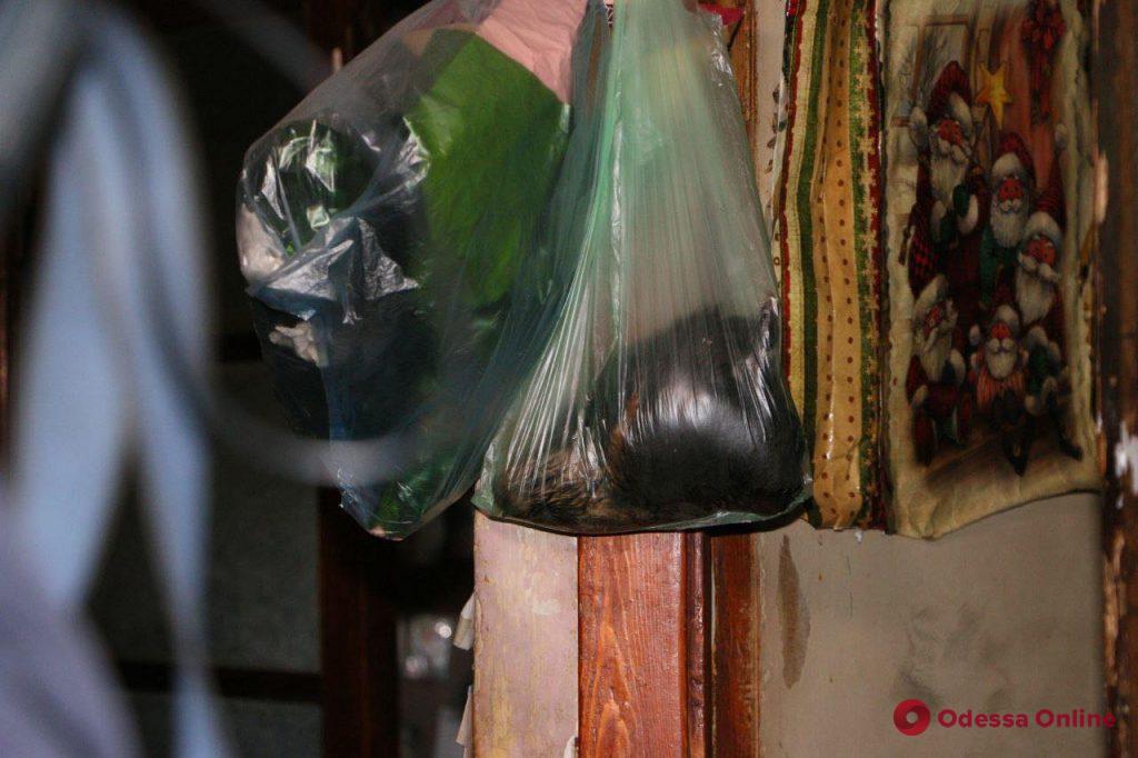 Фото: Одесса-онлайн