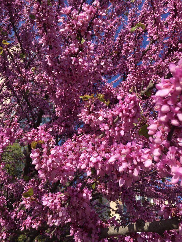 Фото: Лолита Клочкова