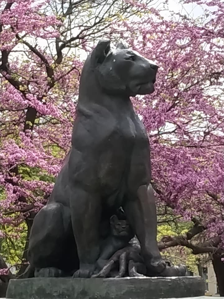 Фото: Майя Алексеенко  