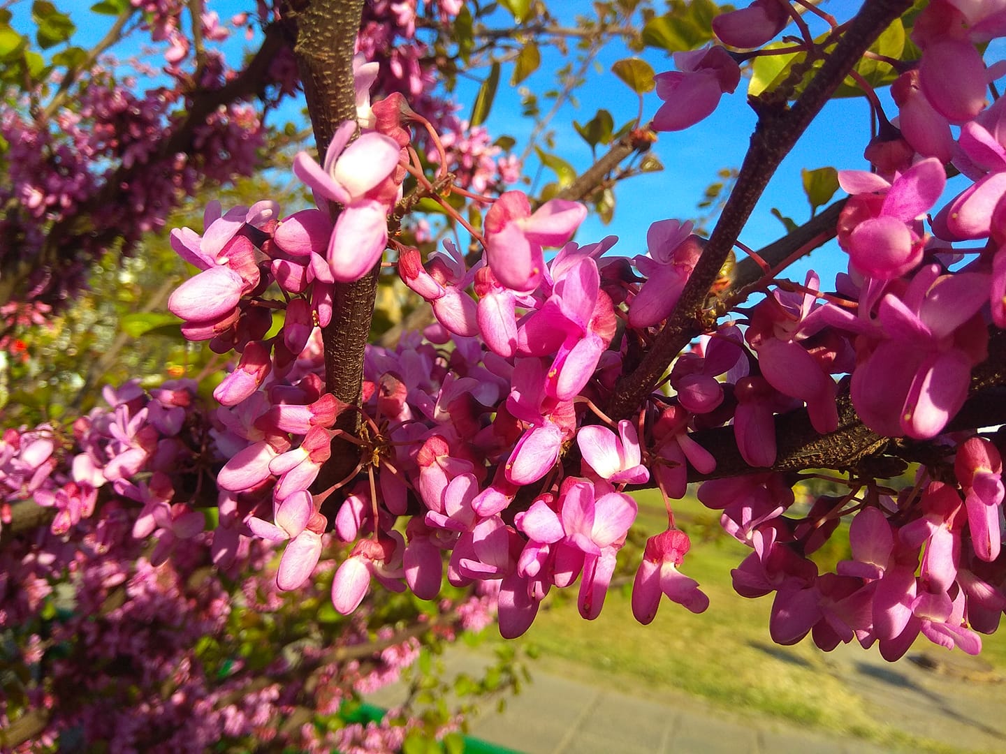 Фото: Людмила Кошкина