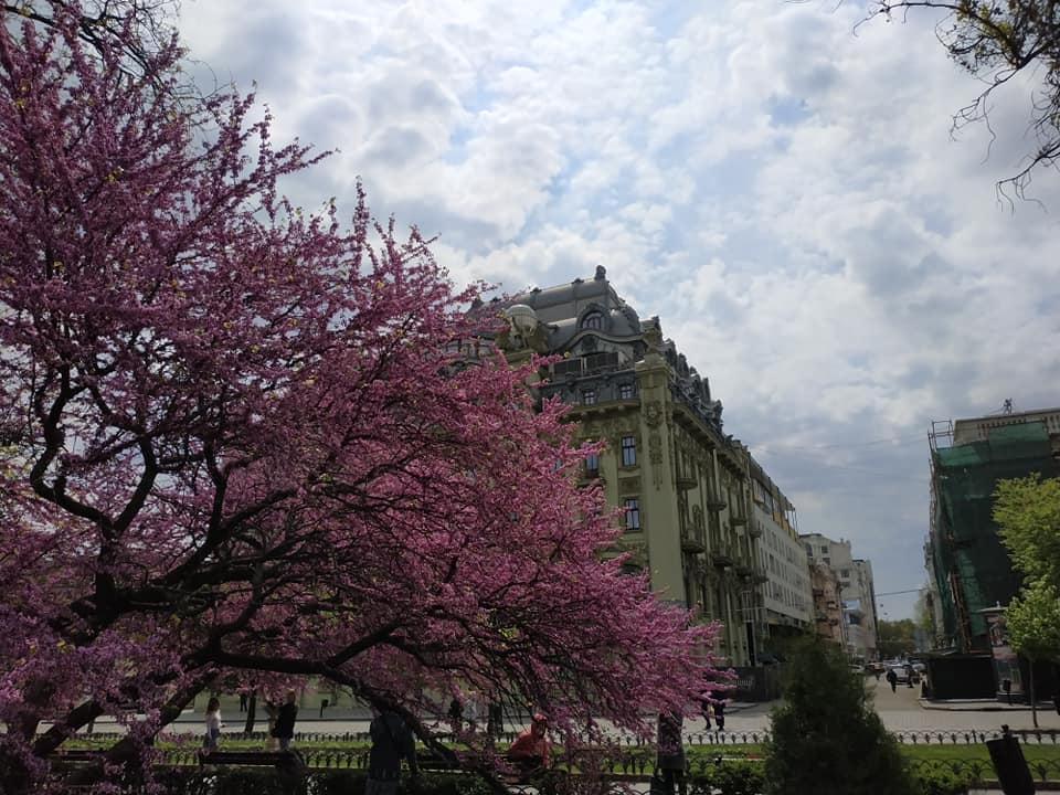 Фото: Майя Алексеенко  