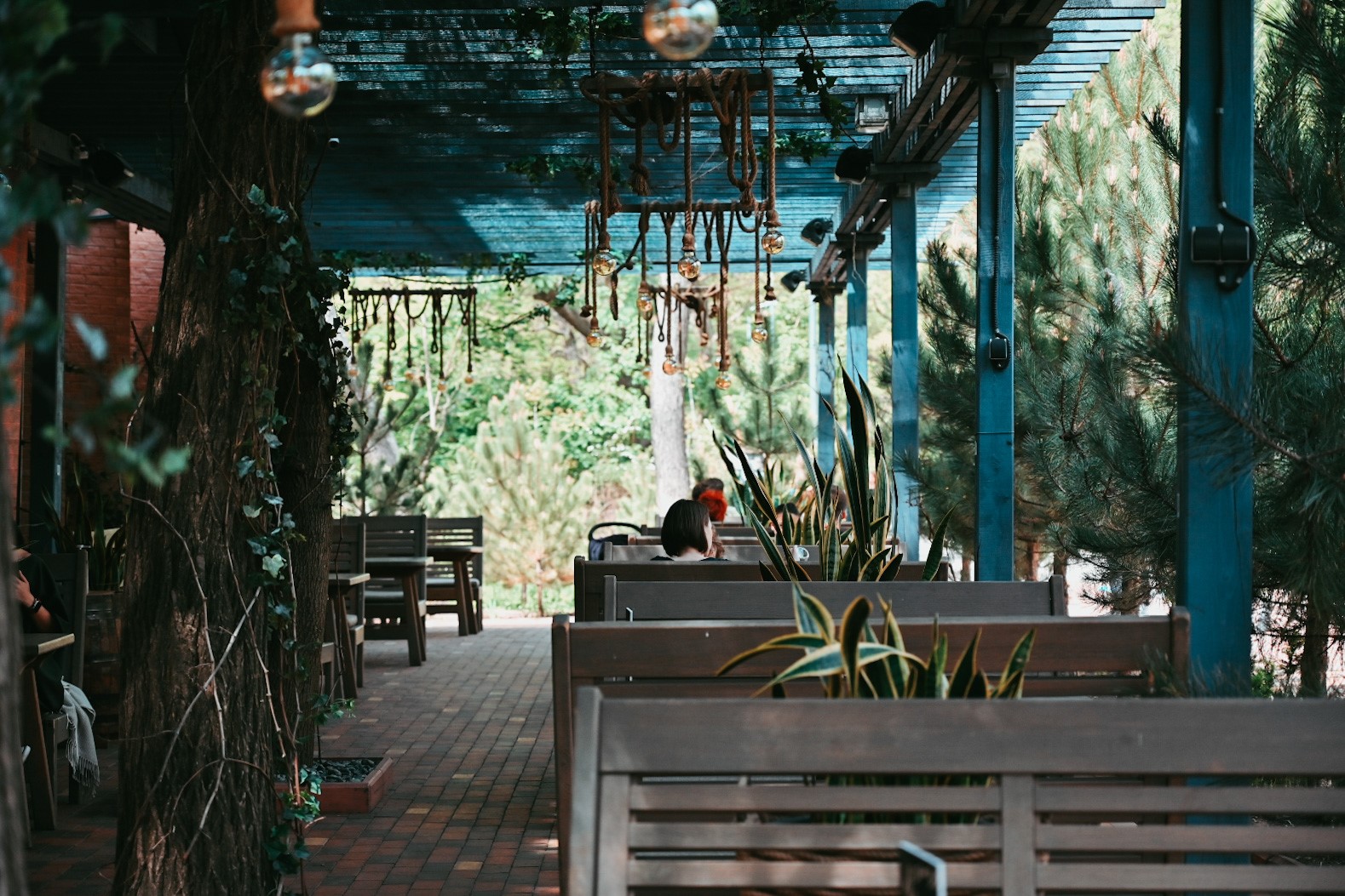 Летние площадки ресторанов в Одессе. Фото: TREF Cinema Cafe