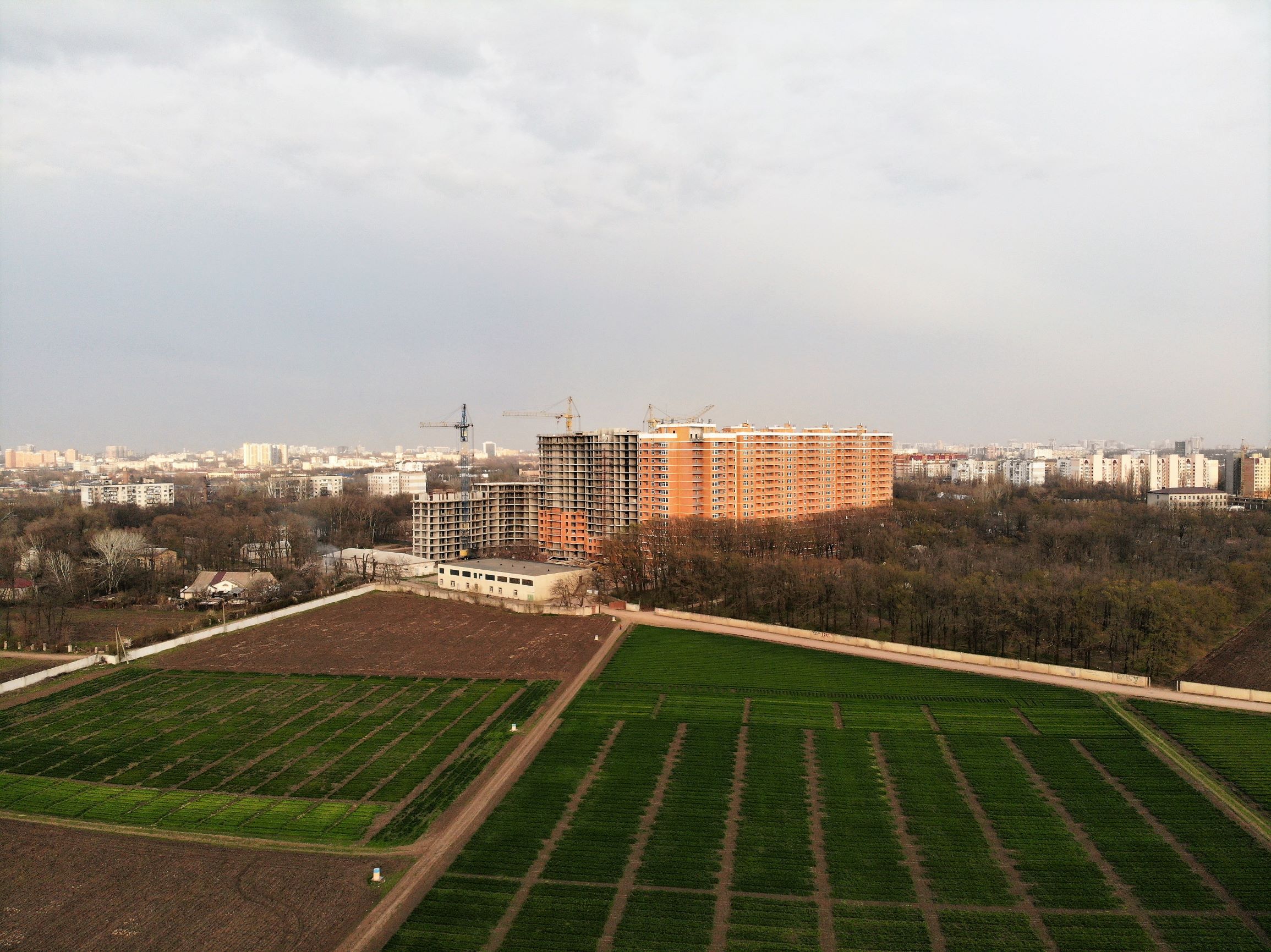 Селекционный институт с высоты птичьего полета