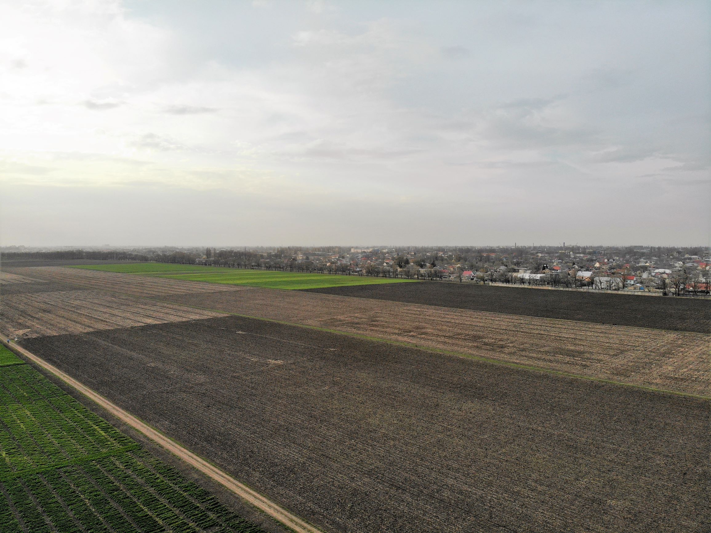 Селекционный институт с высоты птичьего полета