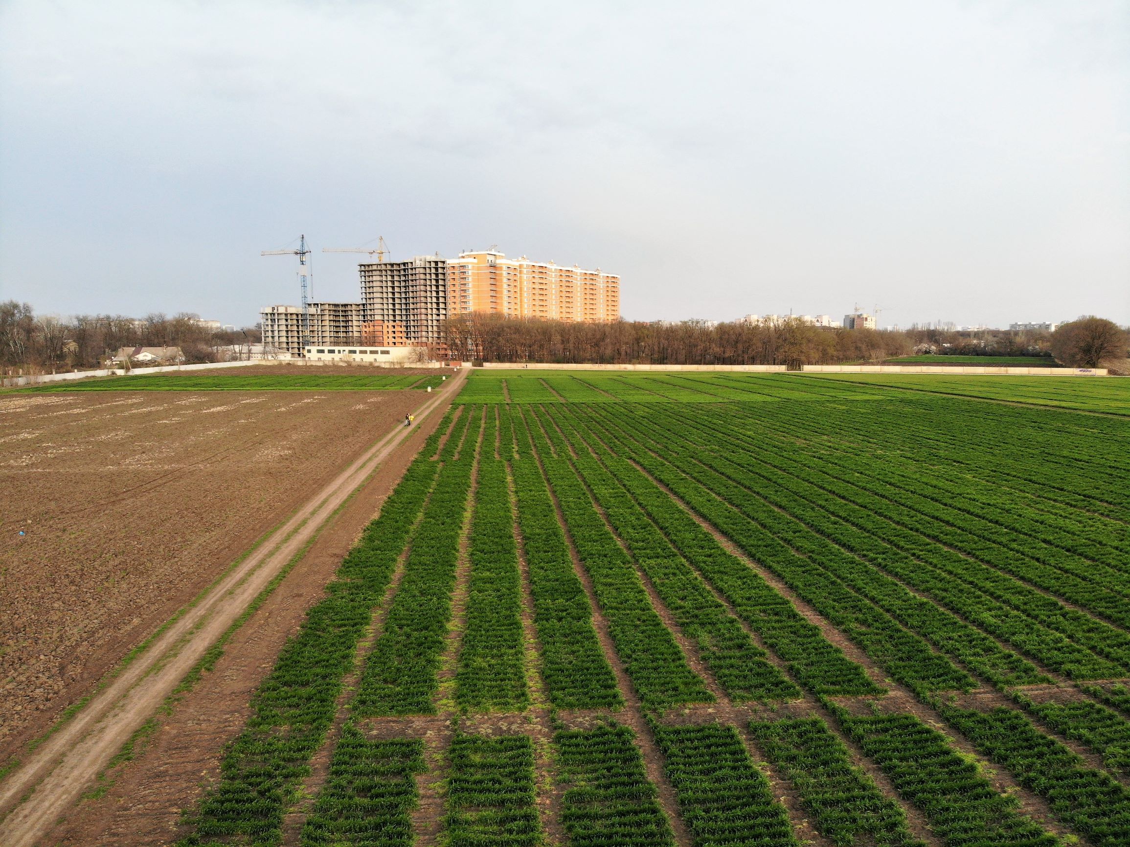 Селекционный институт с высоты птичьего полета