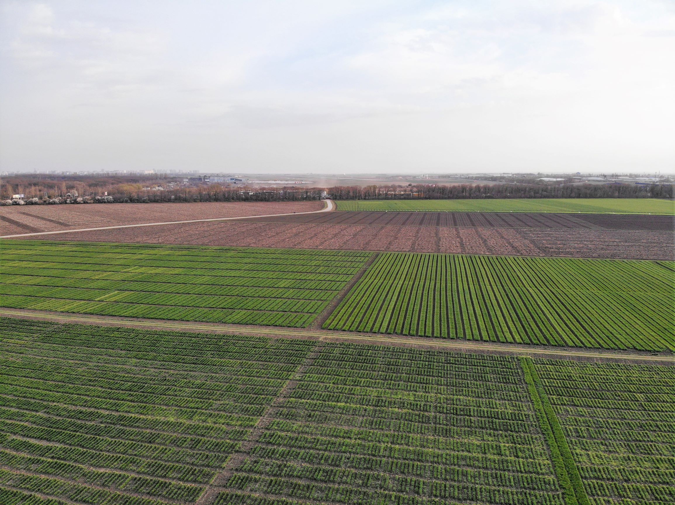 Селекционный институт с высоты птичьего полета