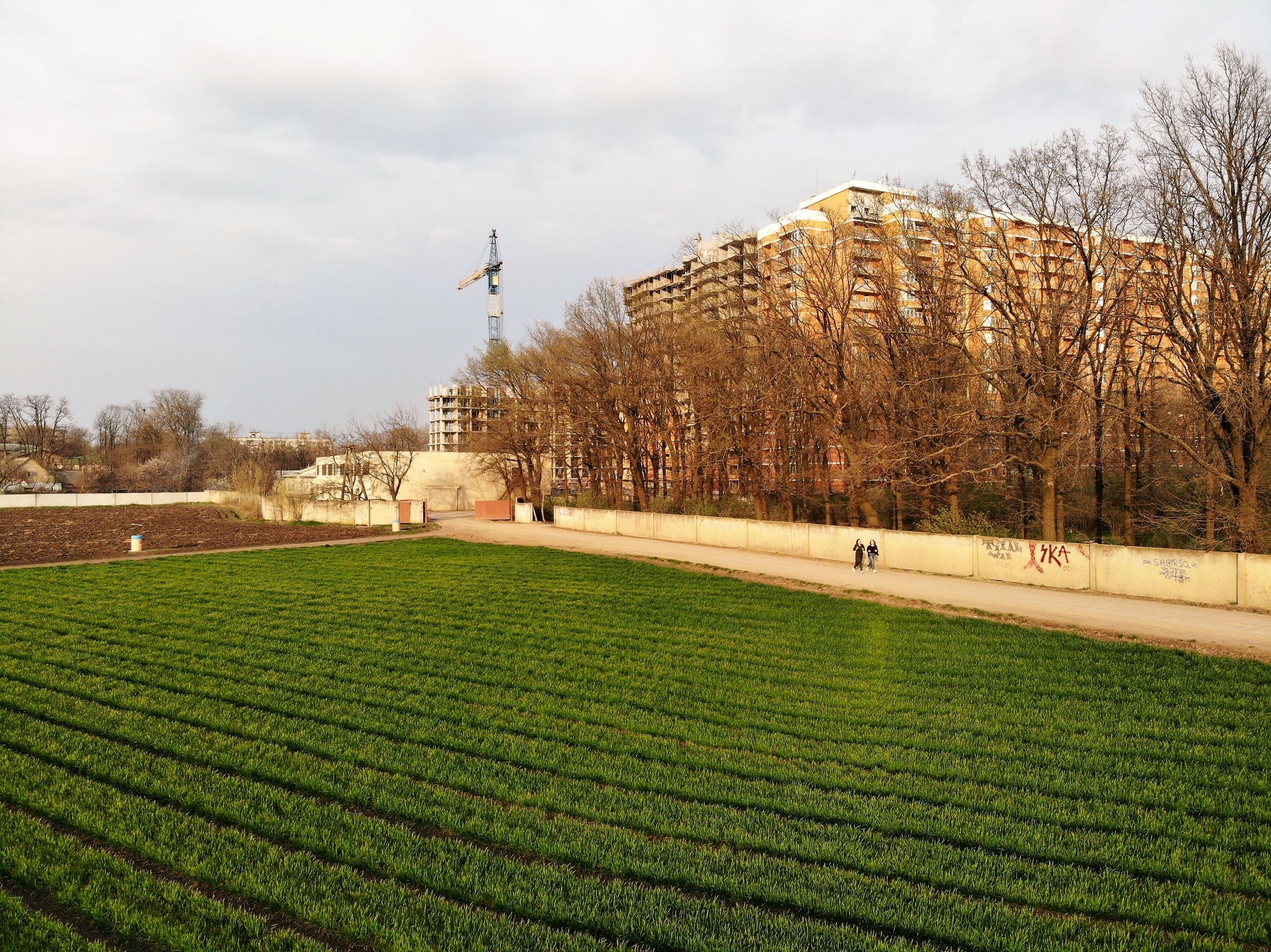 Селекционный институт с высоты птичьего полета