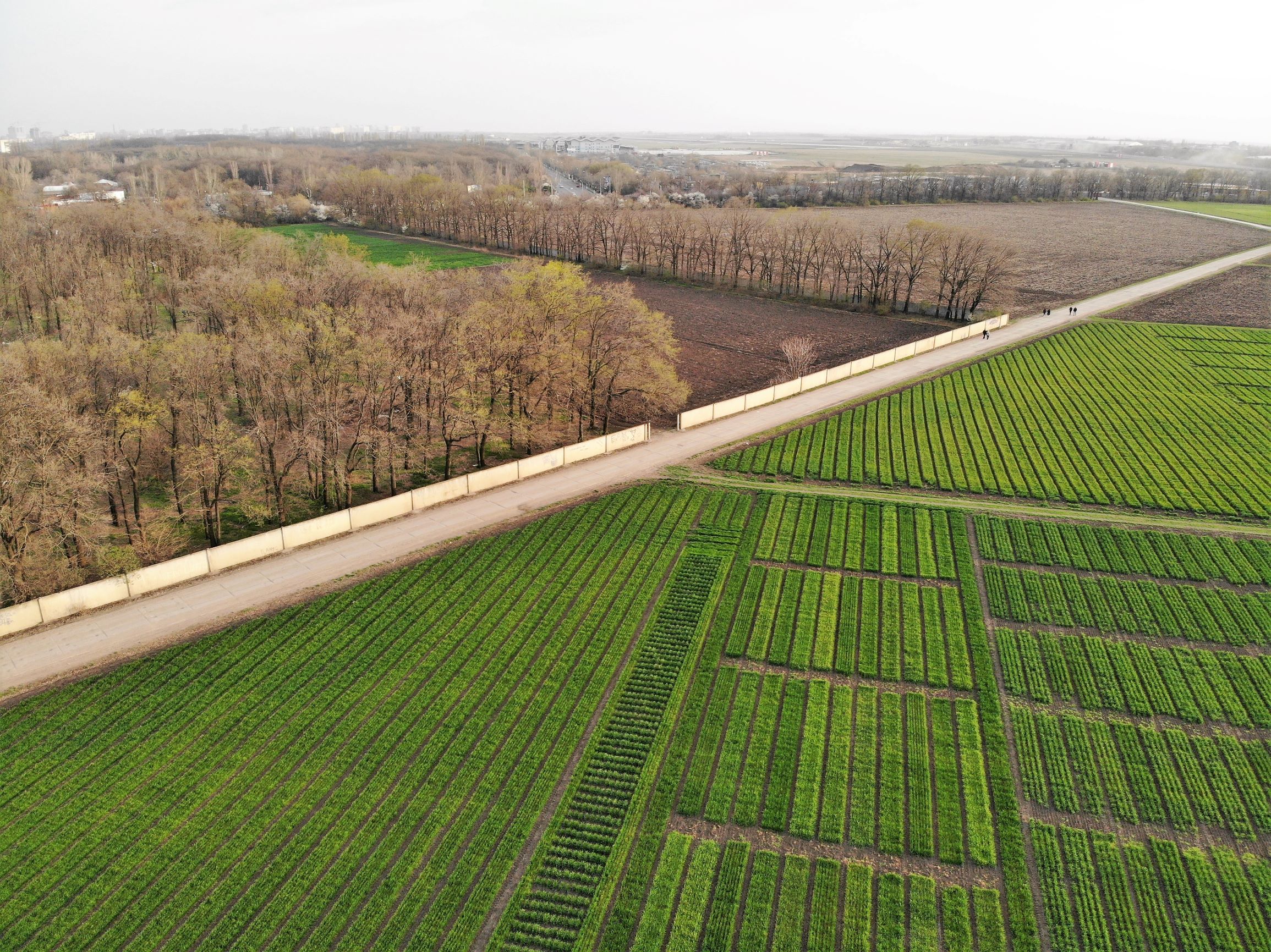 Селекционный институт с высоты птичьего полета