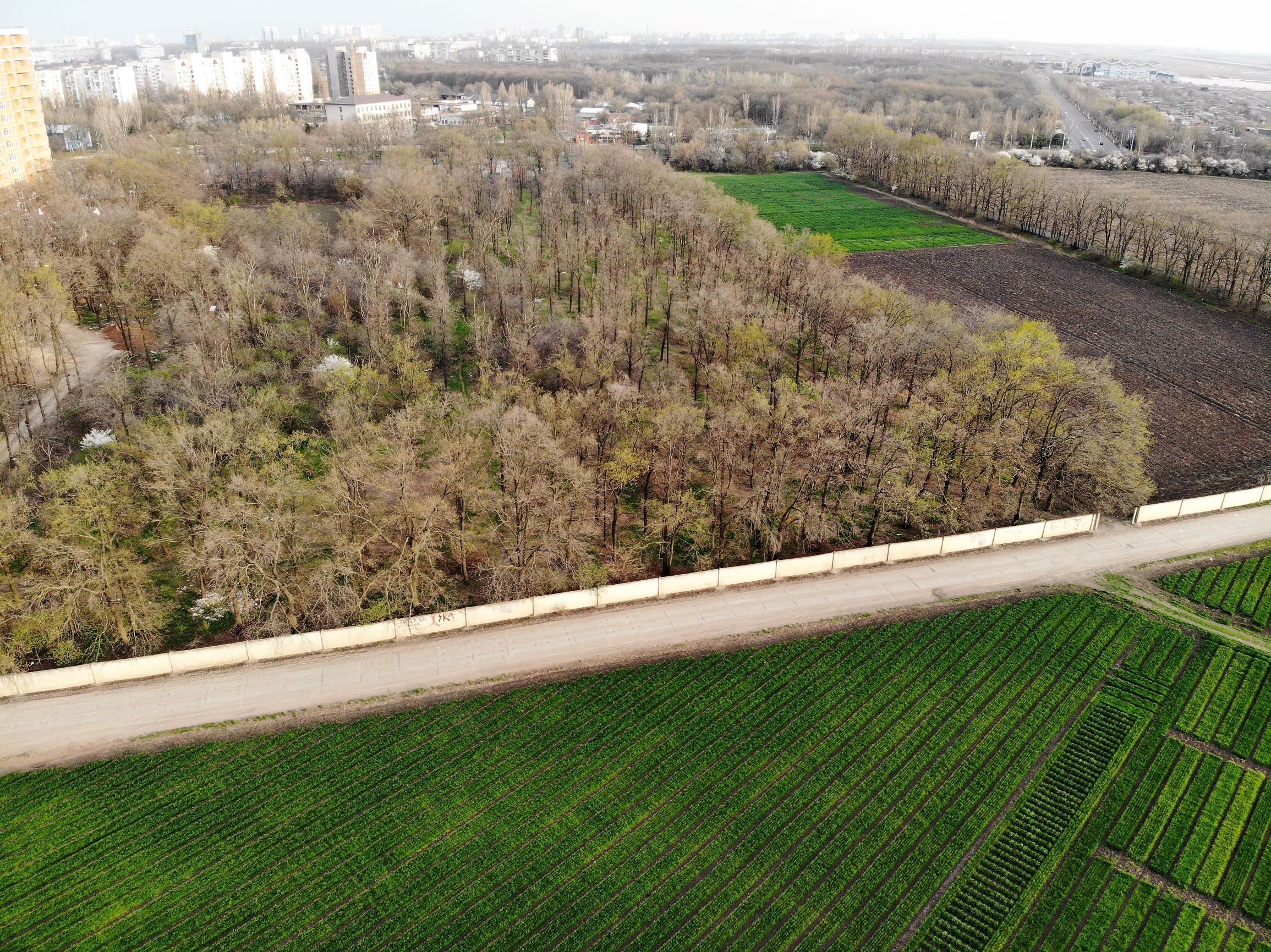 Селекционный институт с высоты птичьего полета