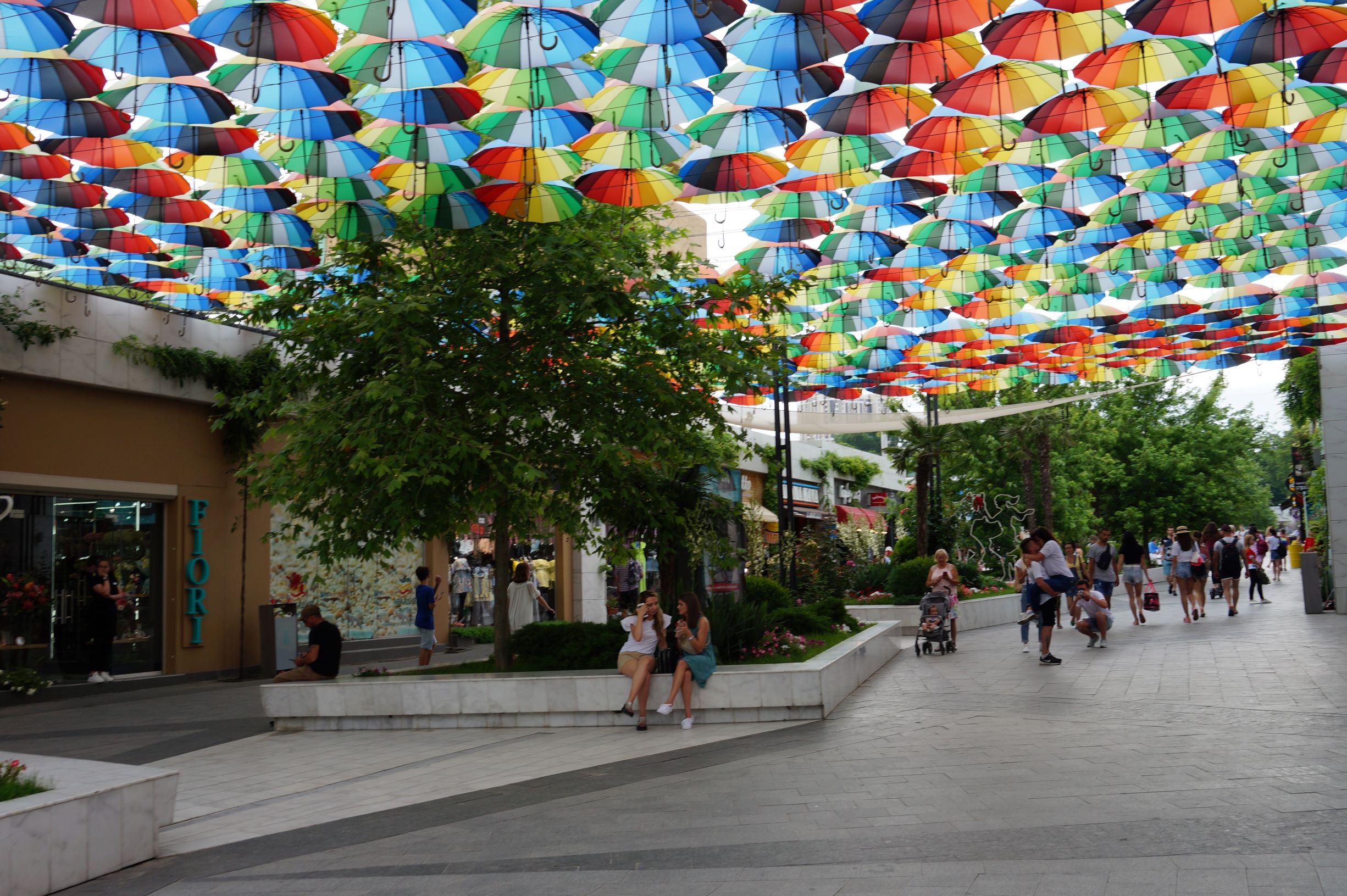 Аркадия в 2019 году. Фото: Александры Дедюлиной