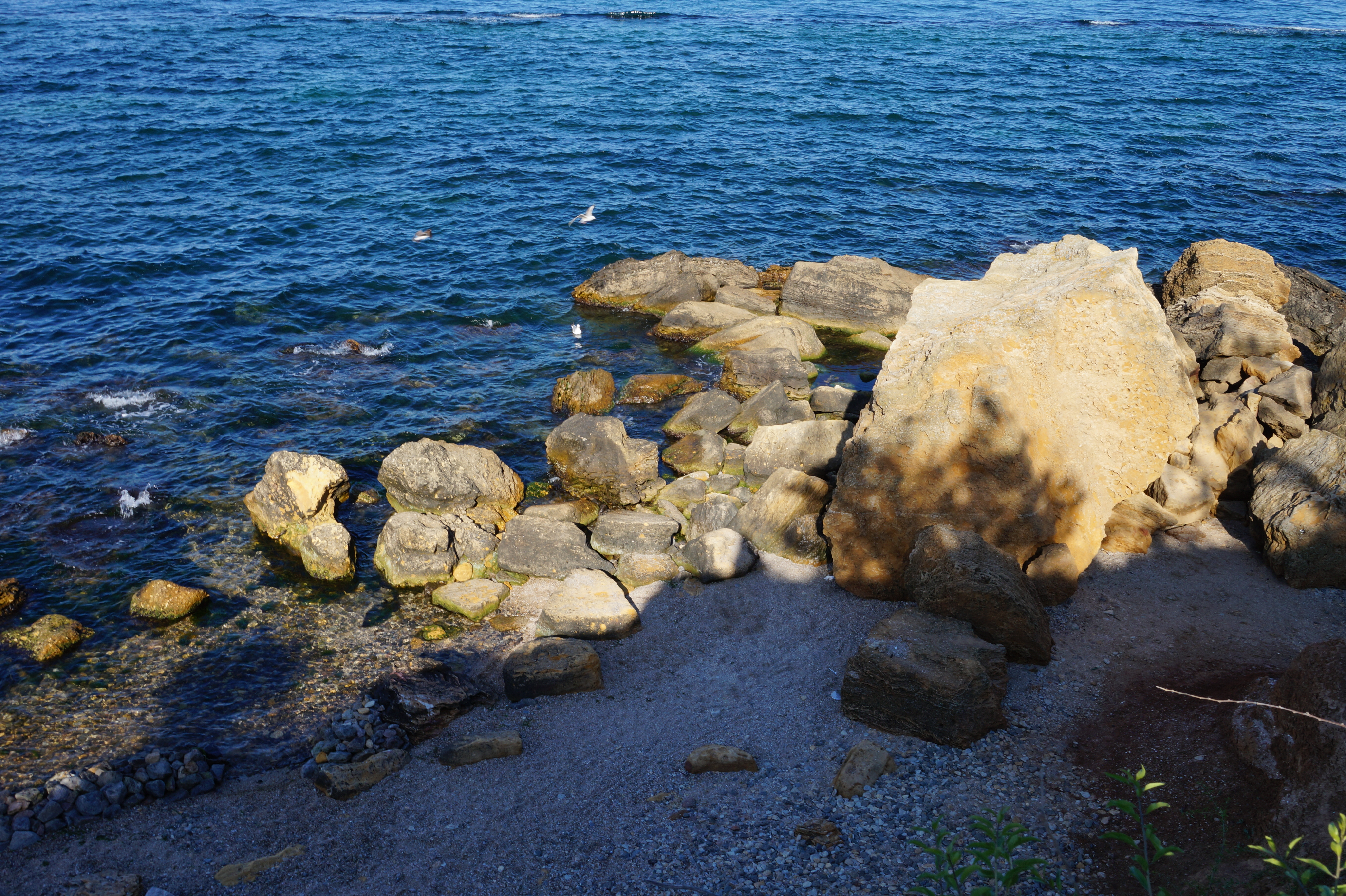 Пляжи Одессы. Фото Александры Дедюлиной