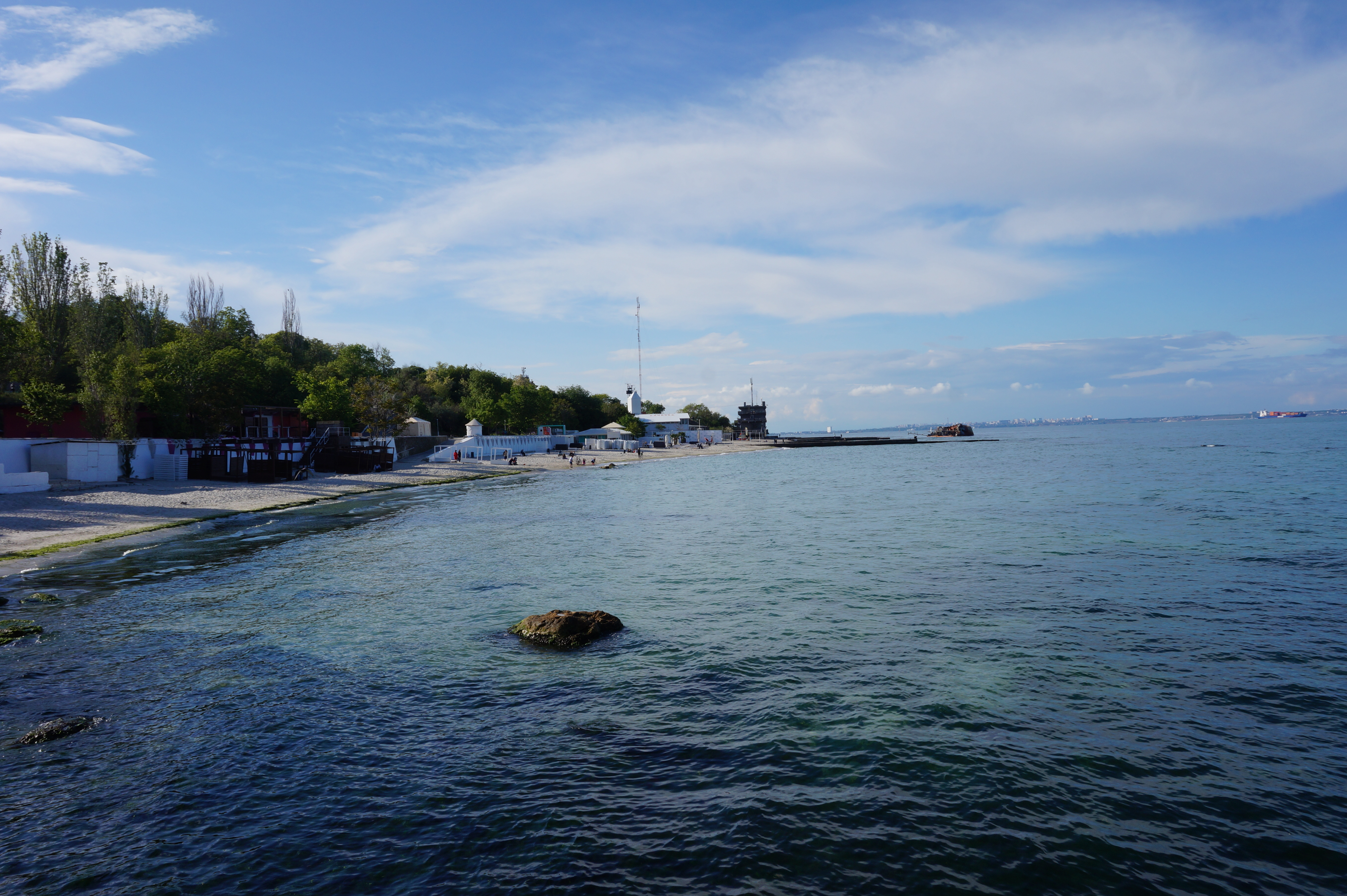Дельфин. Фото Александры Дедюлиной