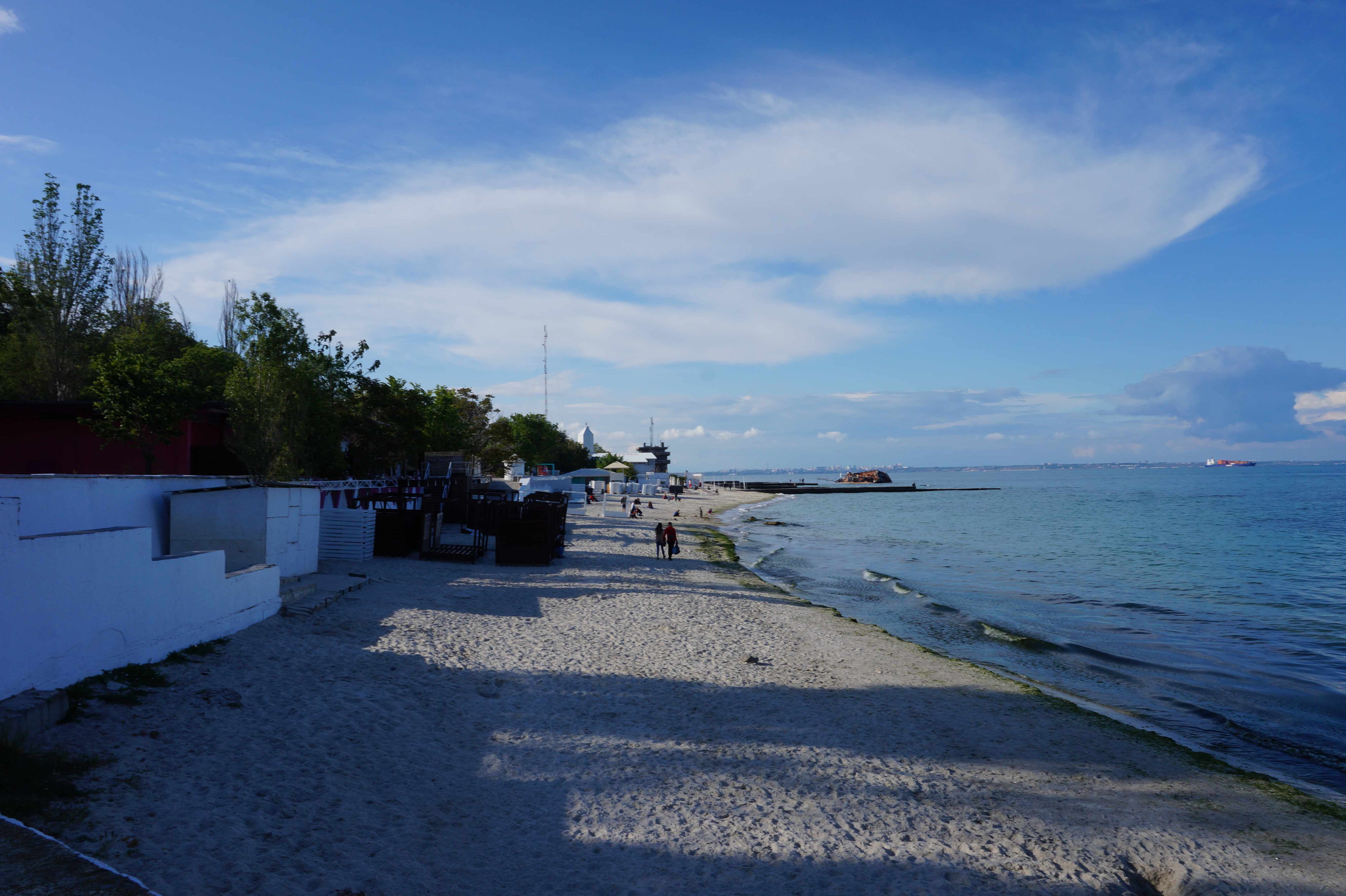 Дельфин. Фото Александры Дедюлиной