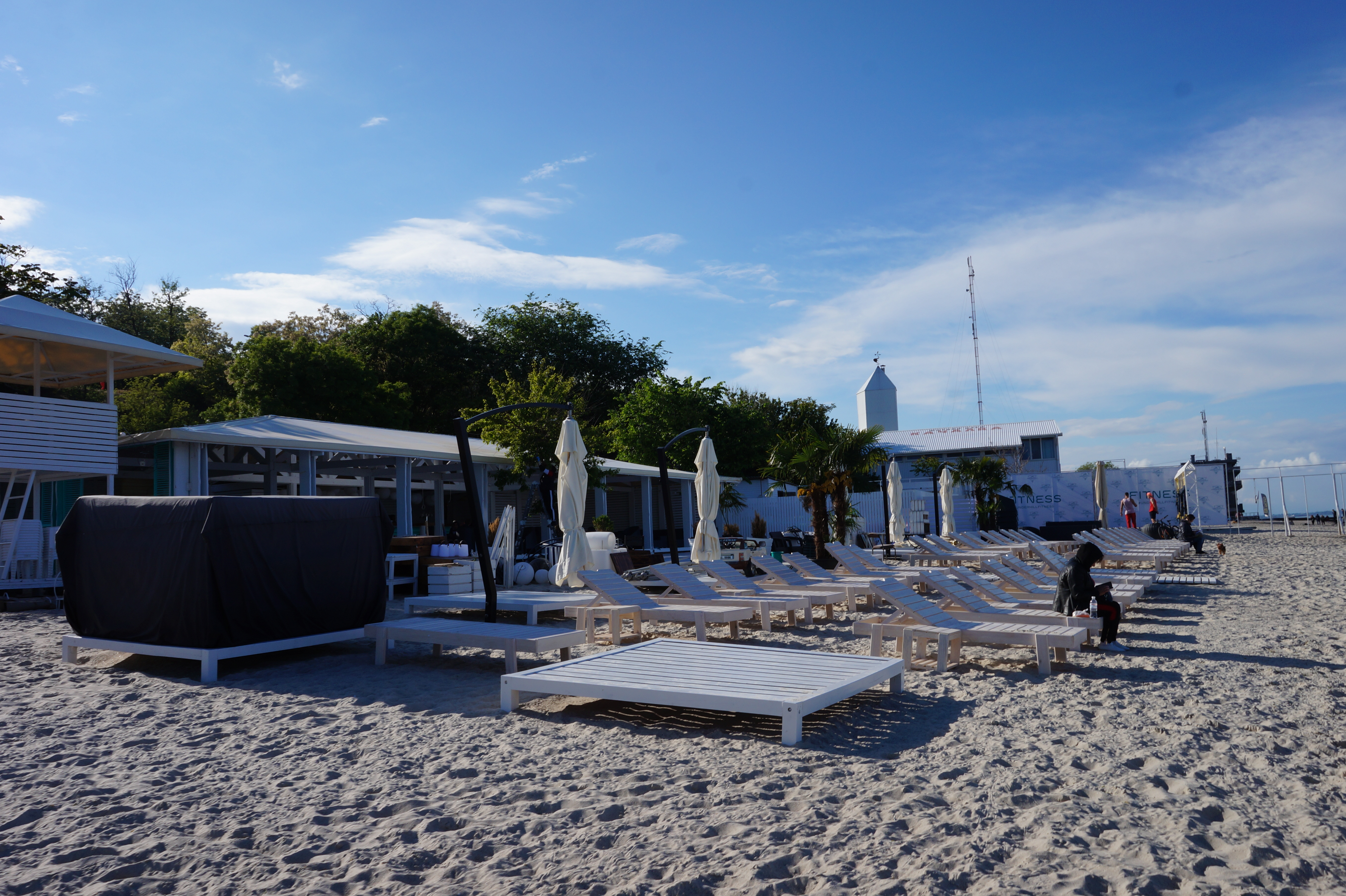 Дельфин. Фото Александры Дедюлиной