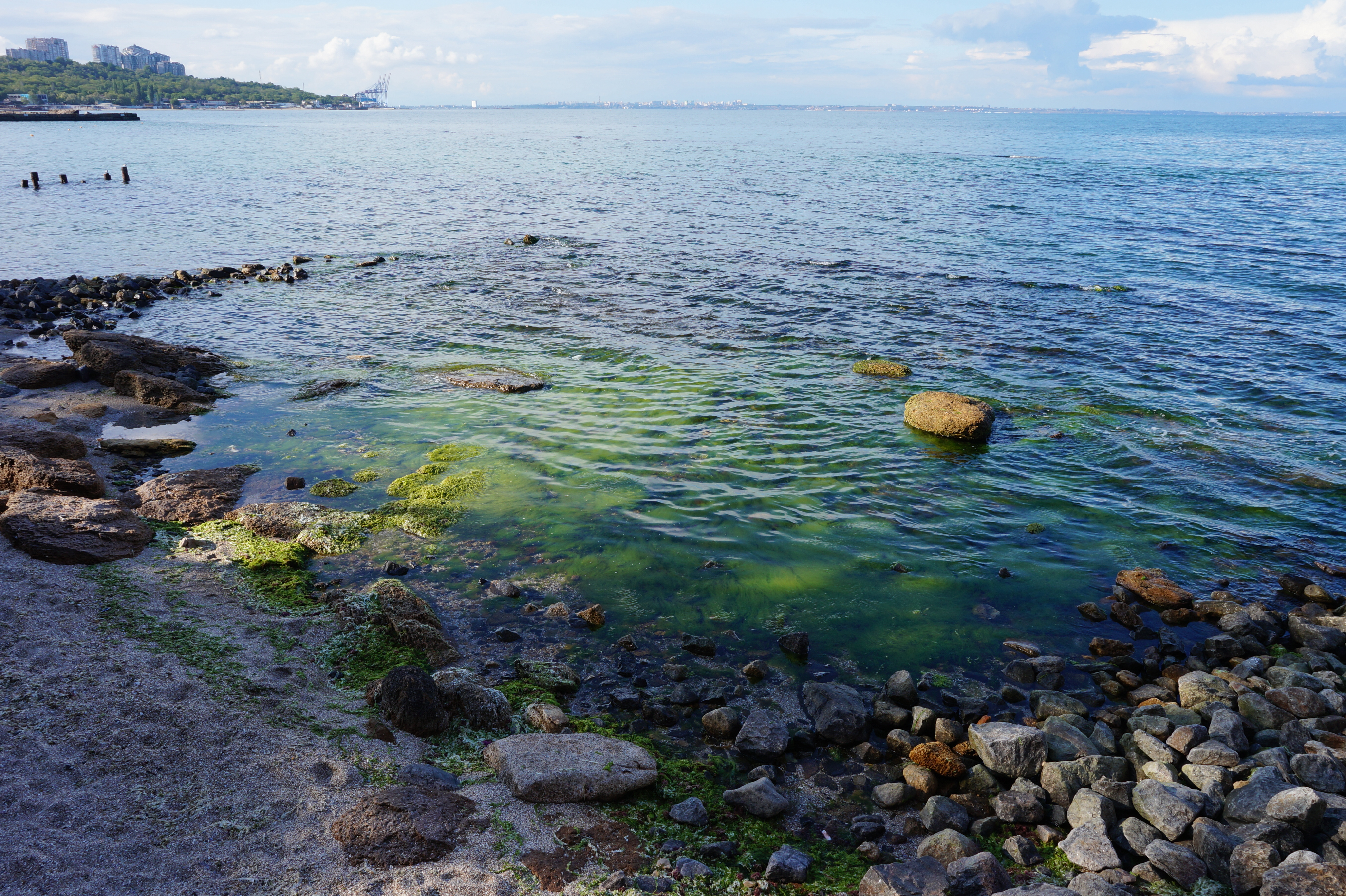Трасса здоровья. Фото Александры Дедюлиной