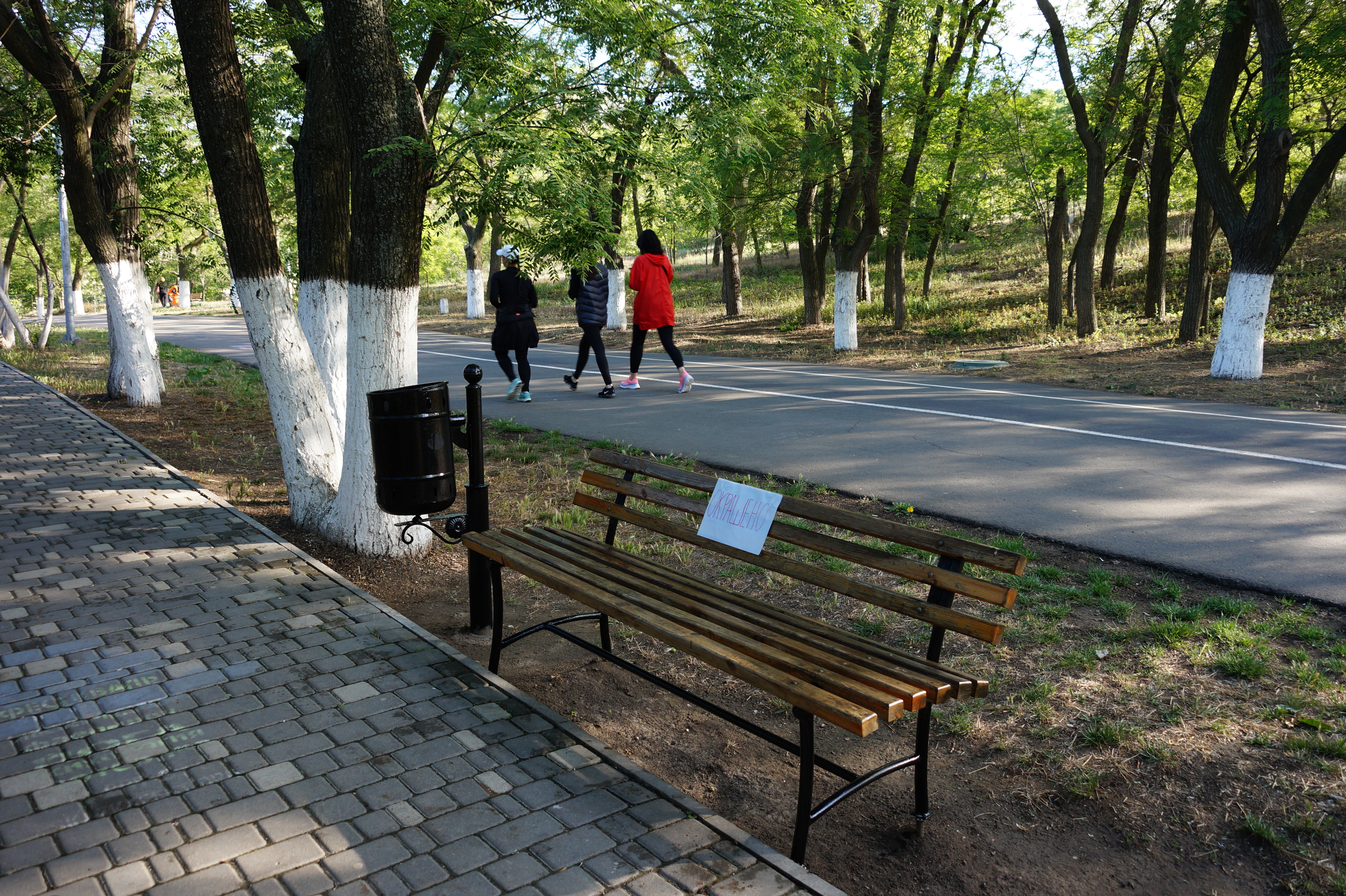 Трасса здоровья. Фото Александры Дедюлиной