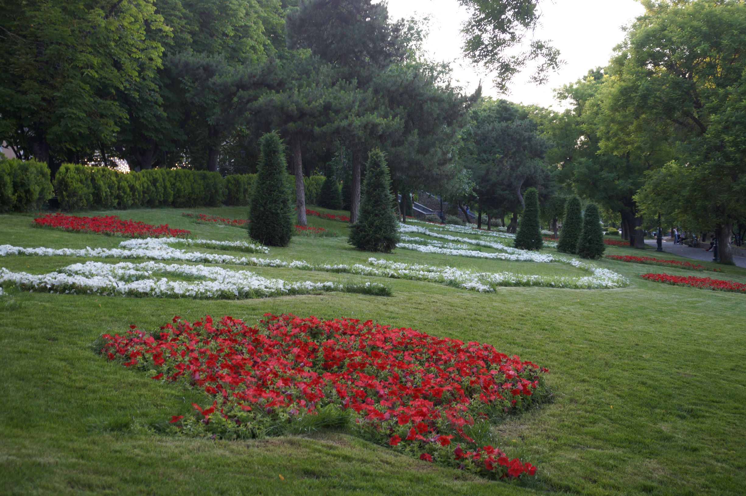 Стамбульский парк. Фото автора