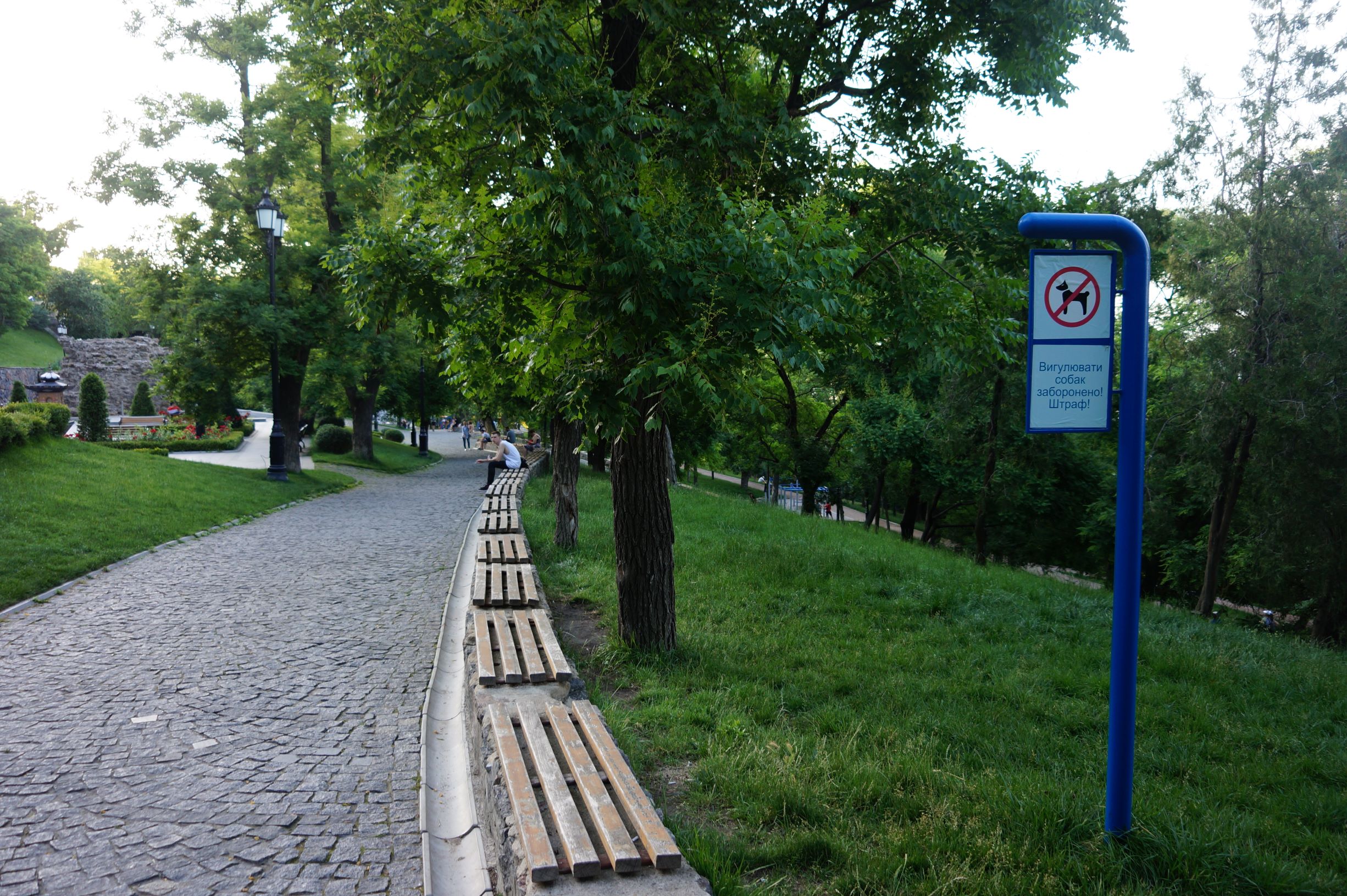 Стамбульский парк. Фото автора