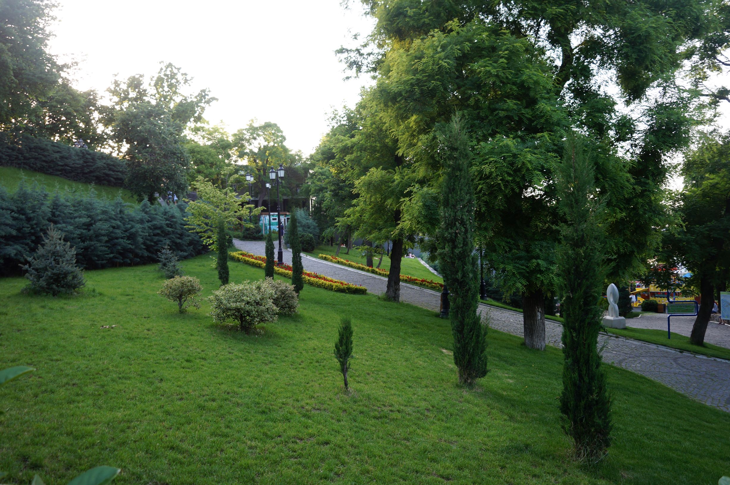 Стамбульский парк. Фото автора