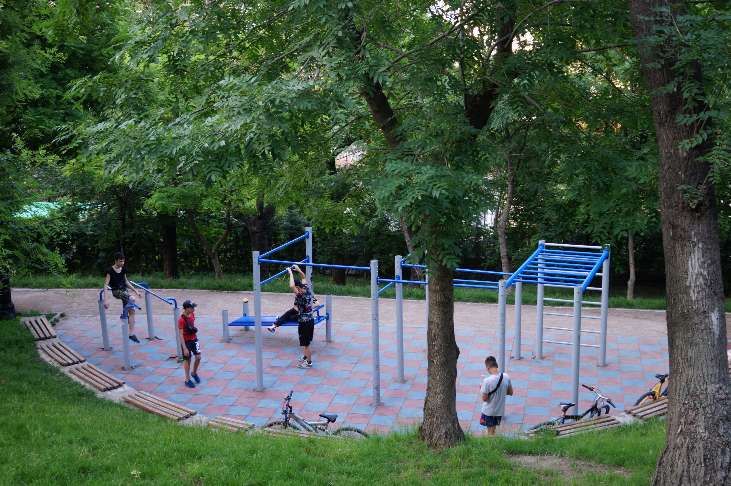 Стамбульский парк. Фото автора