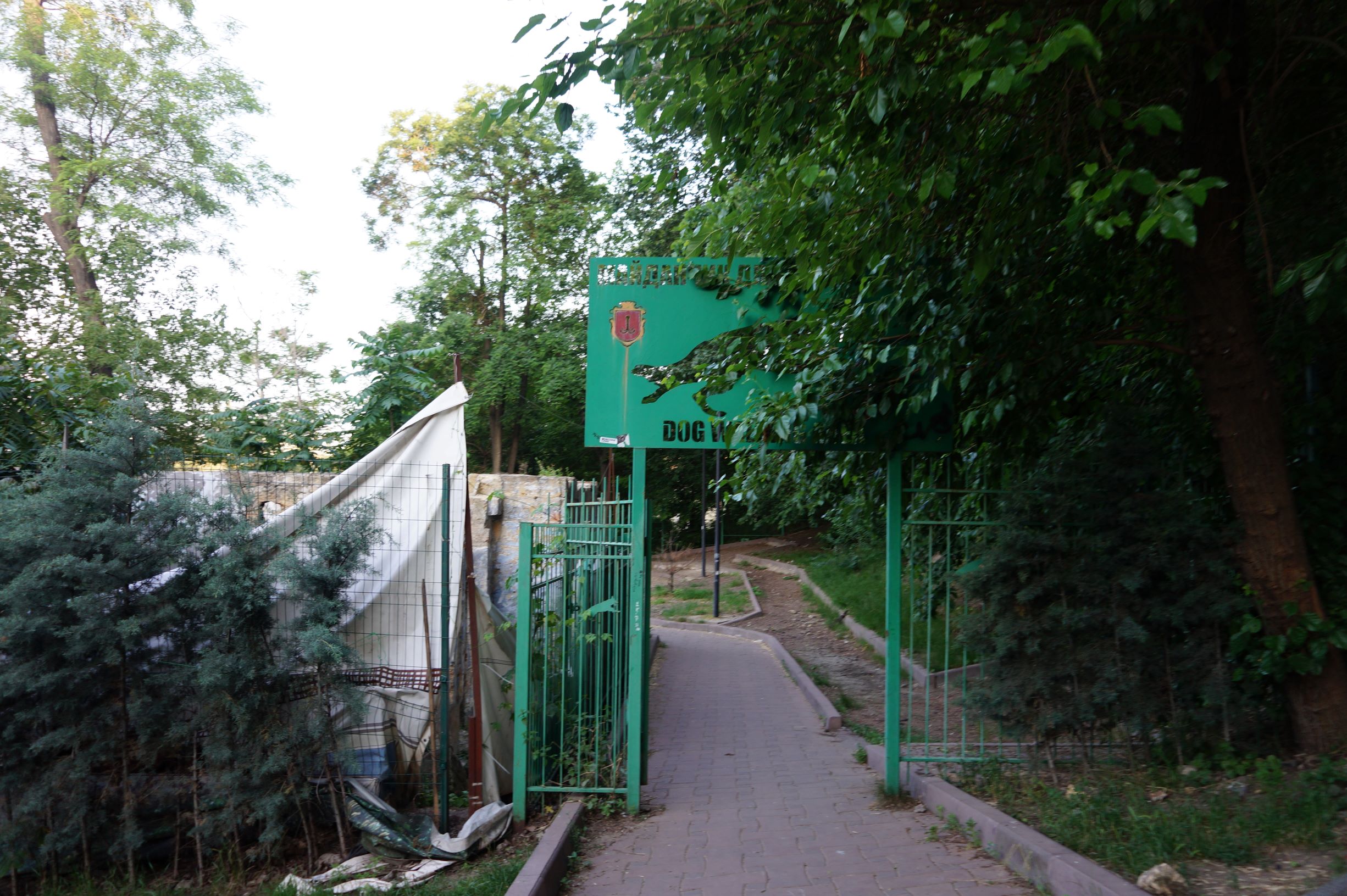 Стамбульский парк. Фото автора