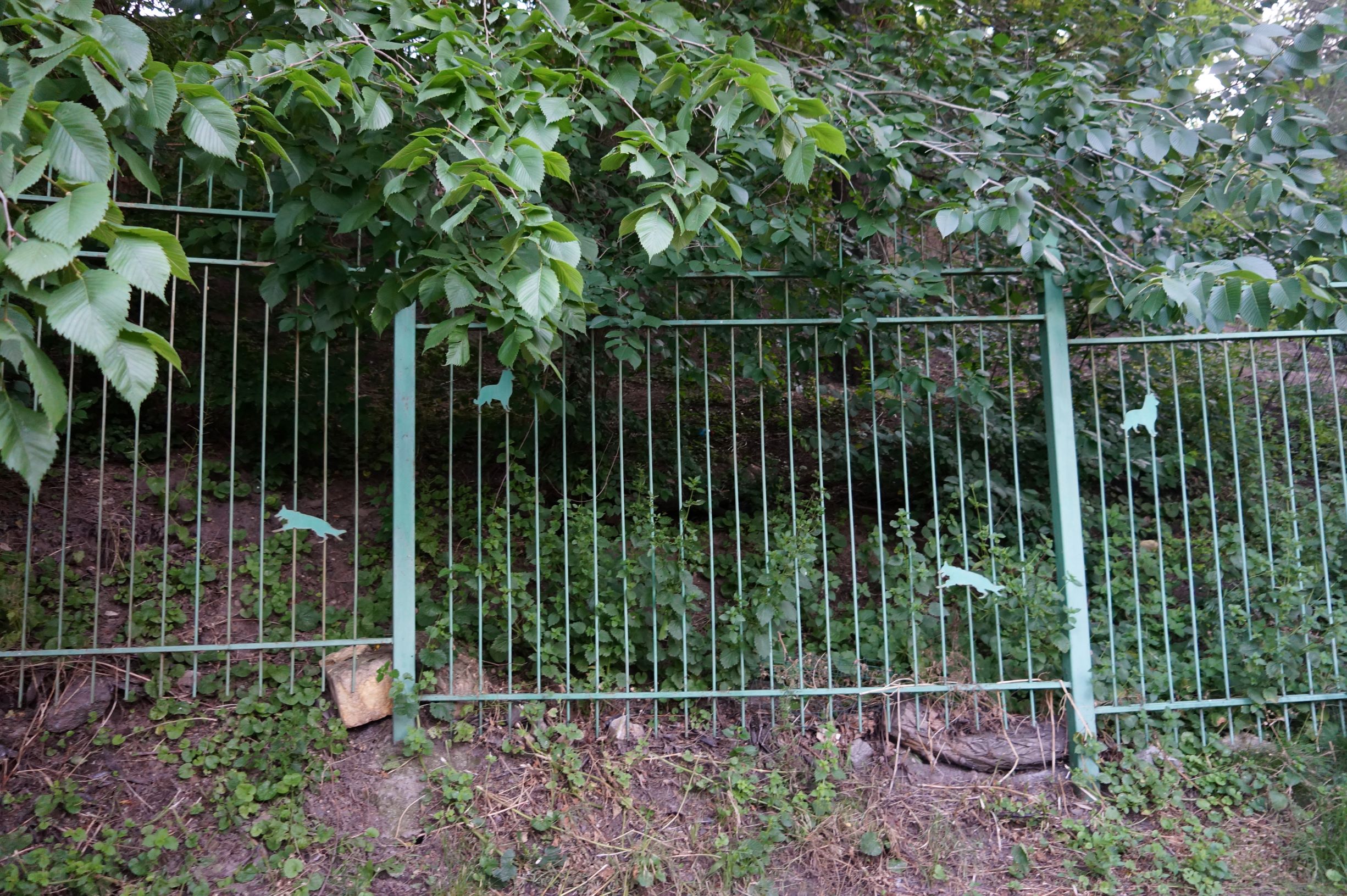 Стамбульский парк. Фото автора