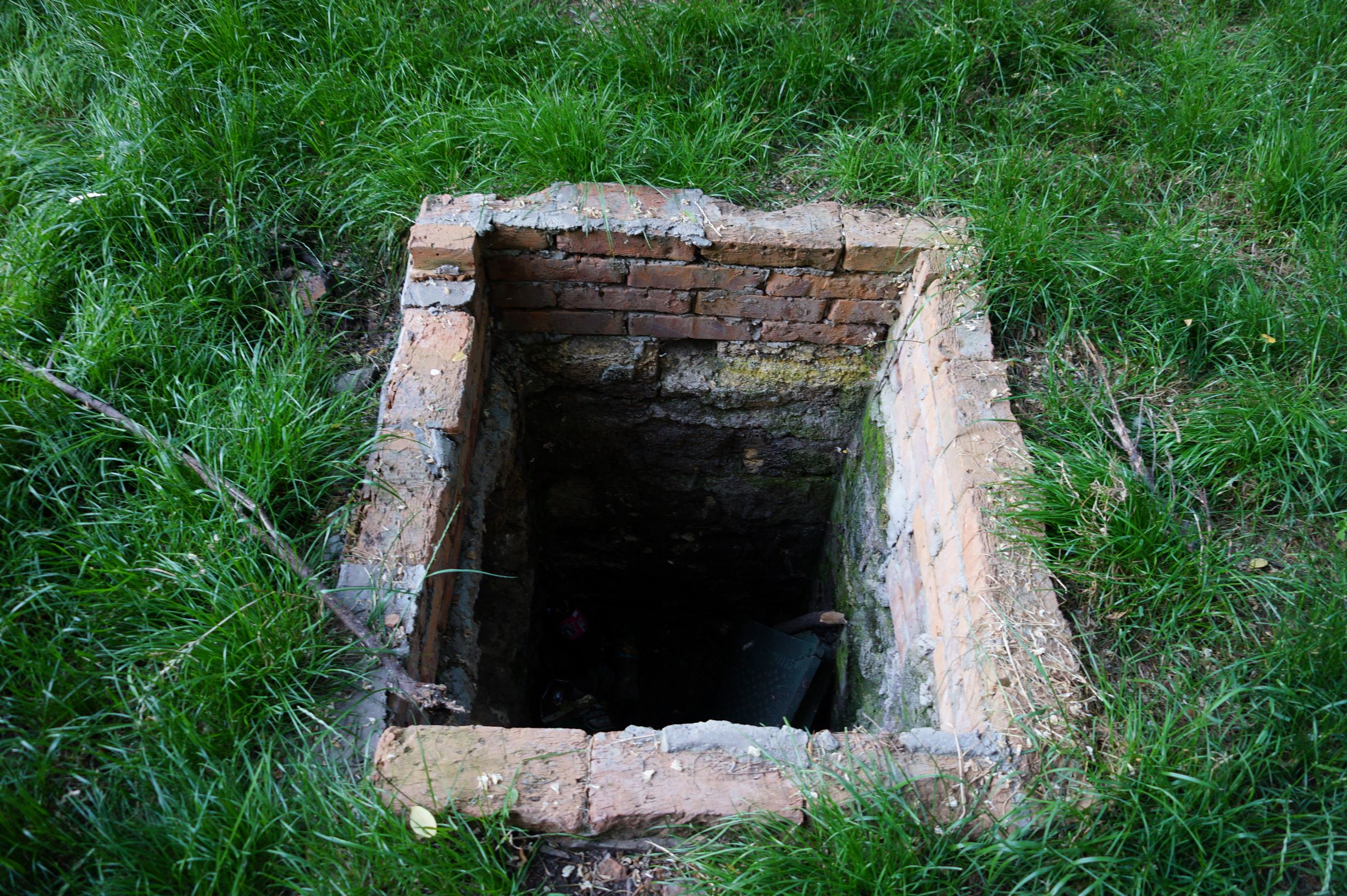 Стамбульский парк. Фото автора