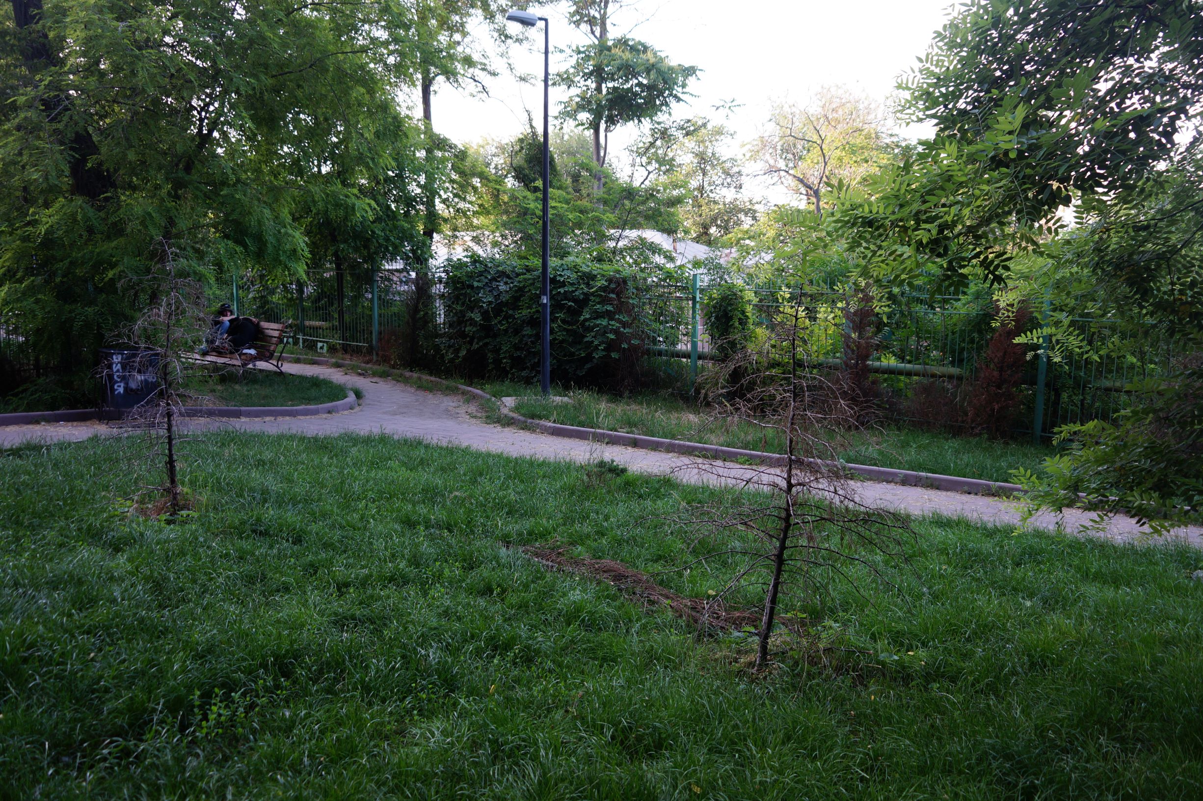 Стамбульский парк. Фото автора