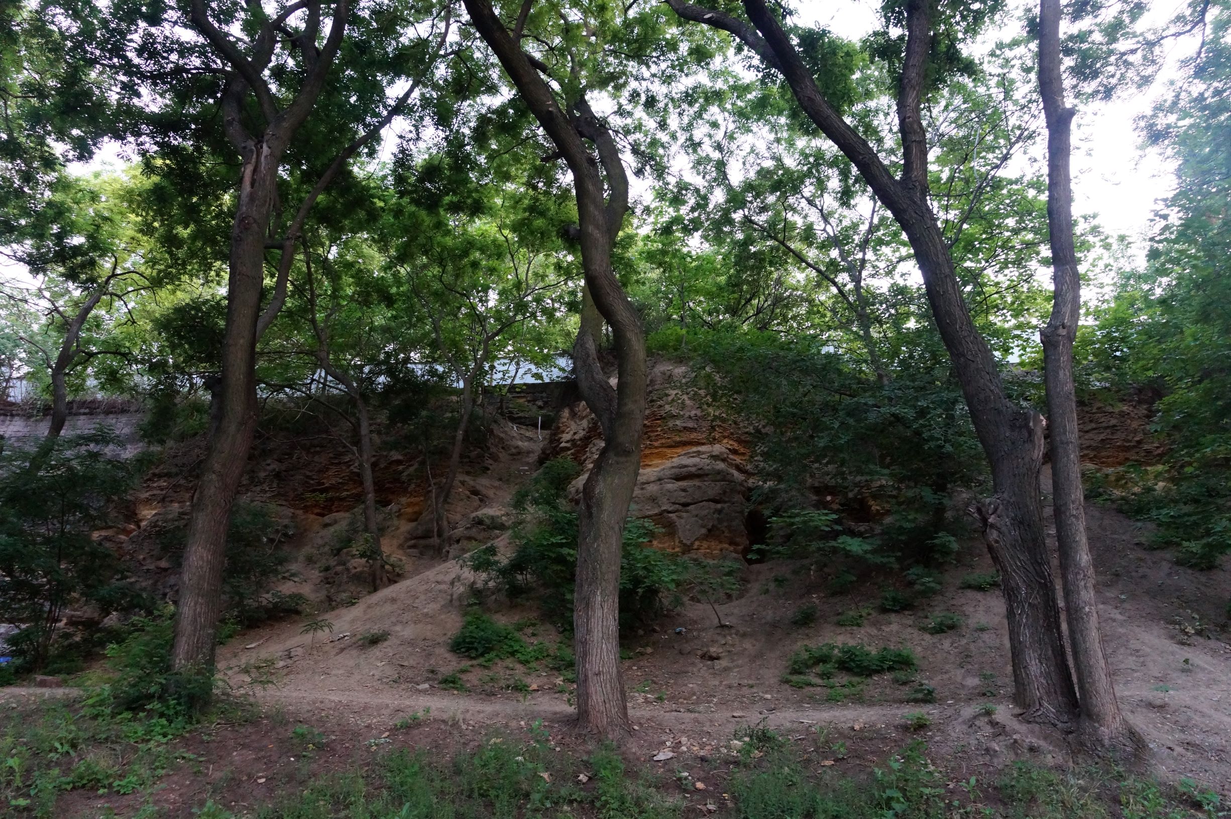 Греческий парк. Фото автора